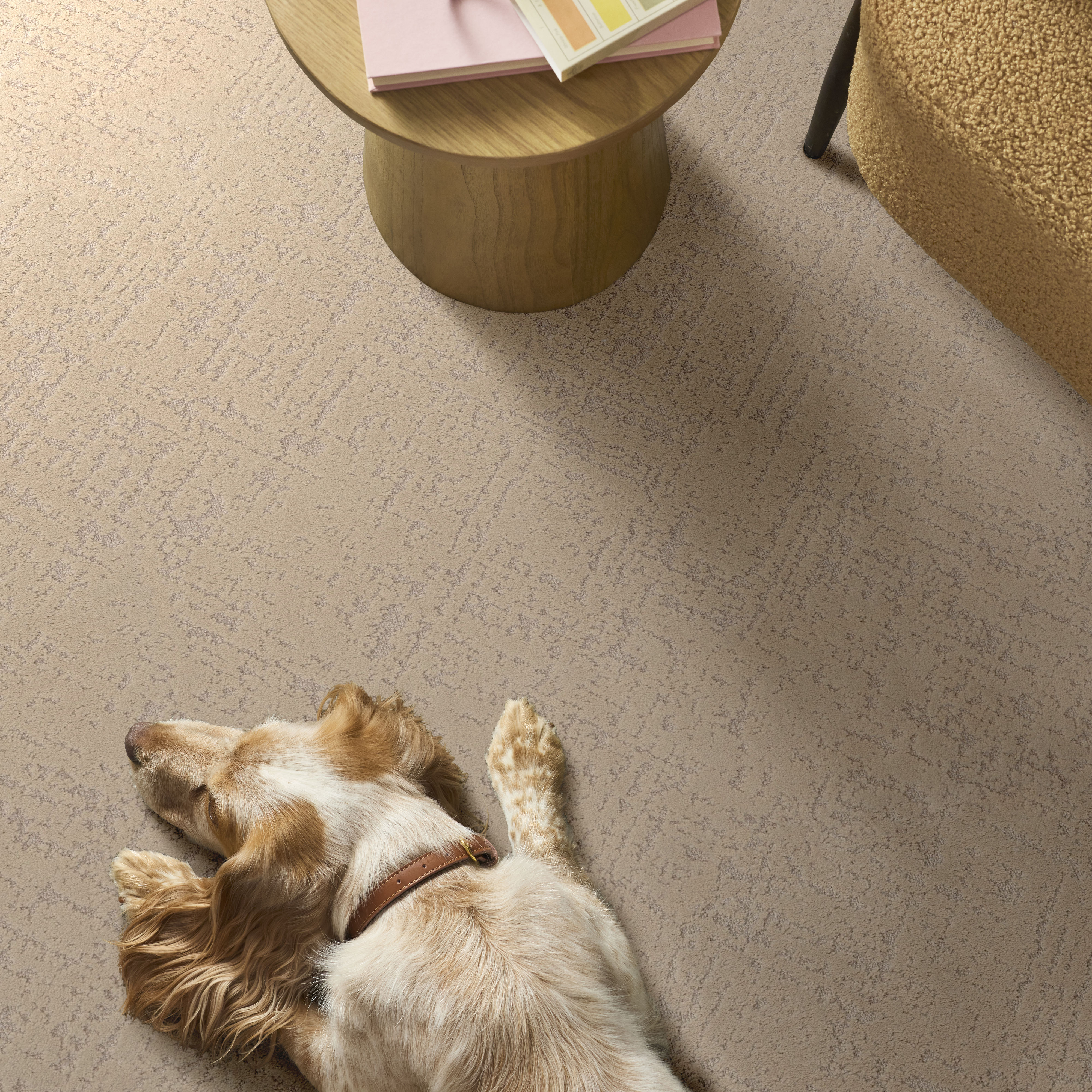 SINCERE FOCUS CASHEW ROOM