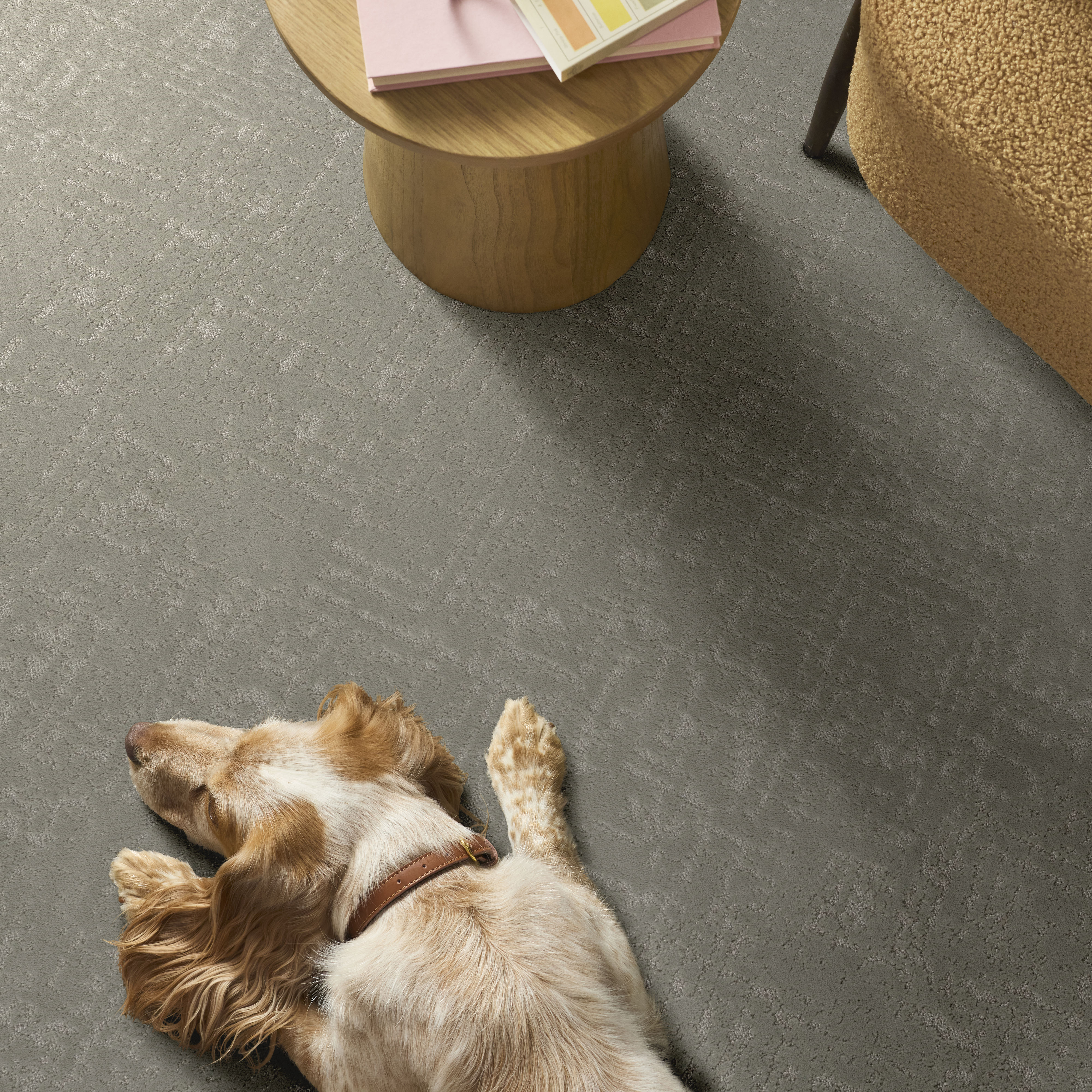 SINCERE FOCUS ORGANIC GROWN ROOM