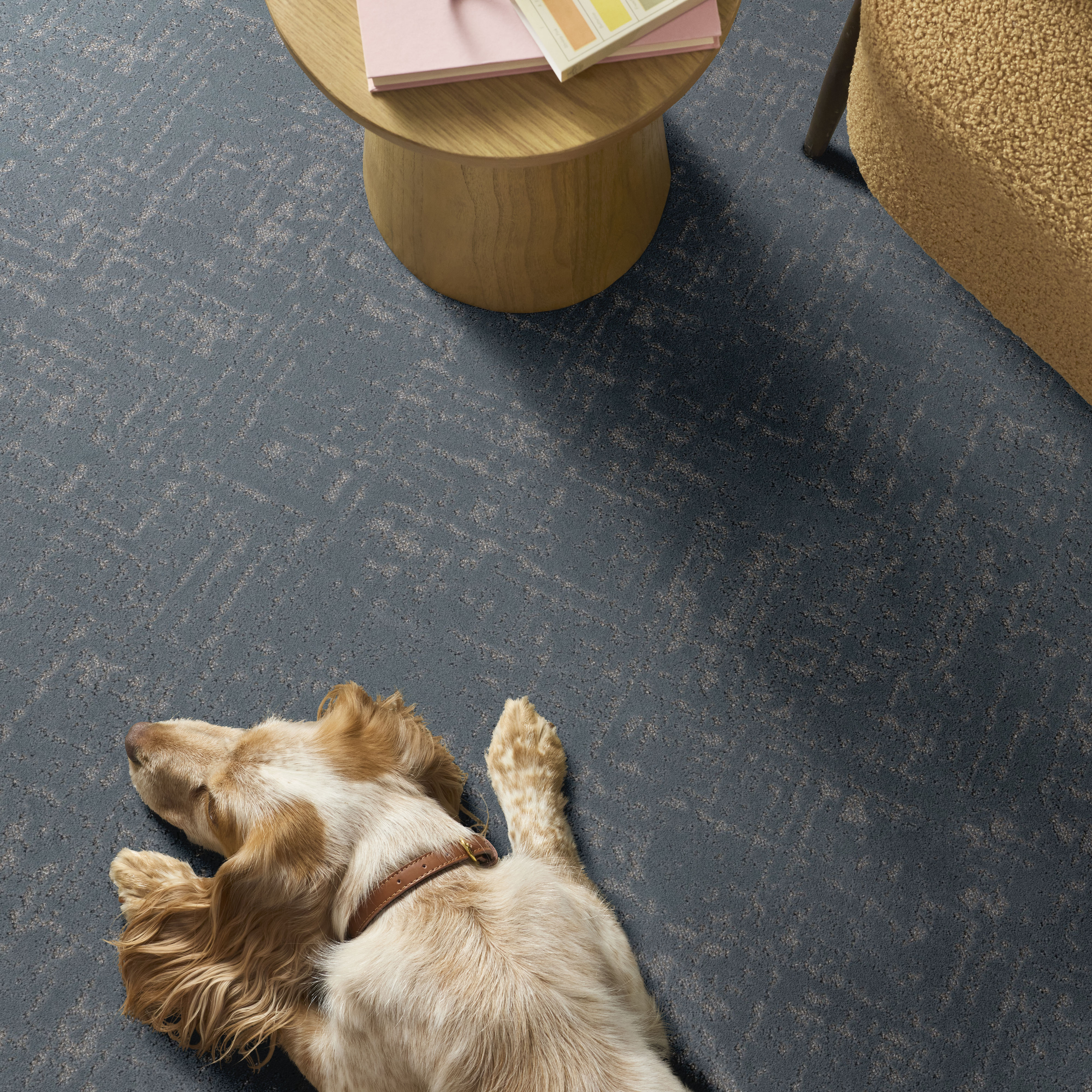 SINCERE FOCUS ALMAFI COAST ROOM