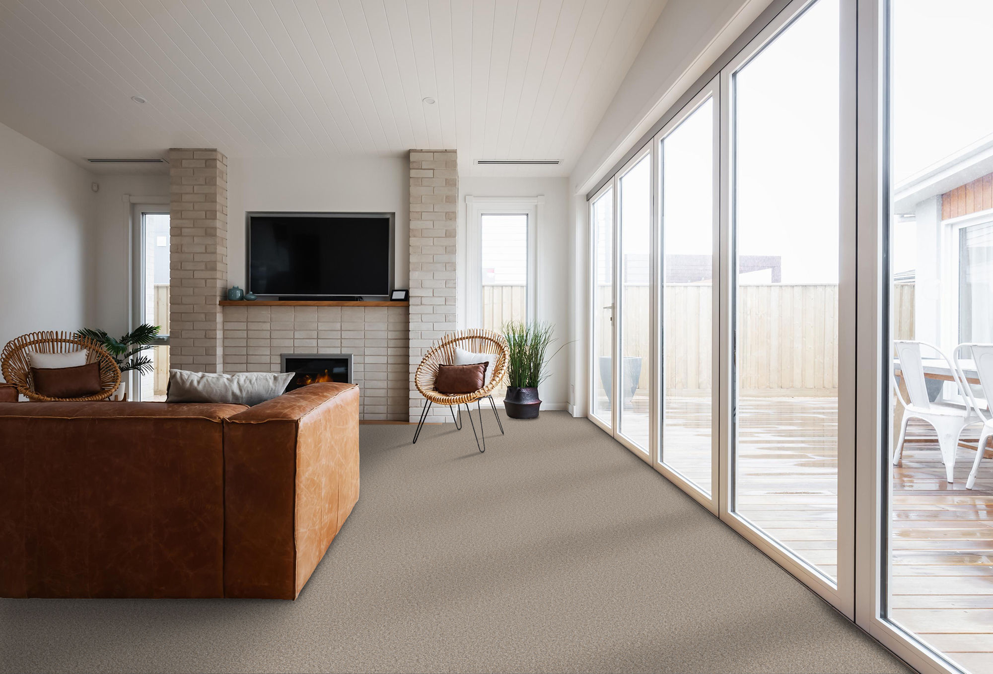 ELEVATED I NUTRIA ROOM