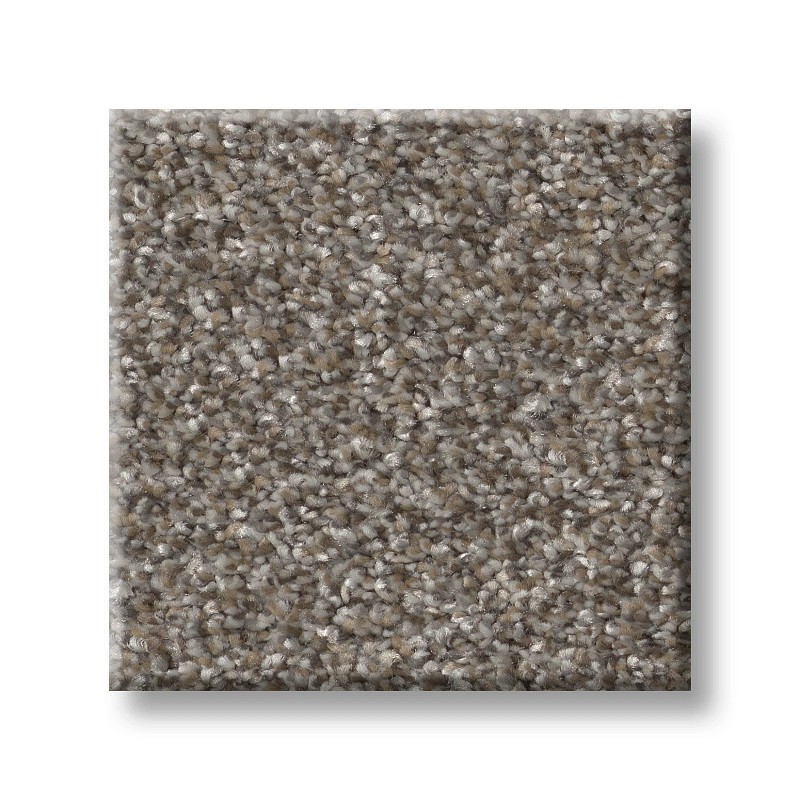 ELEVATED I in Coffee by Shaw Floors