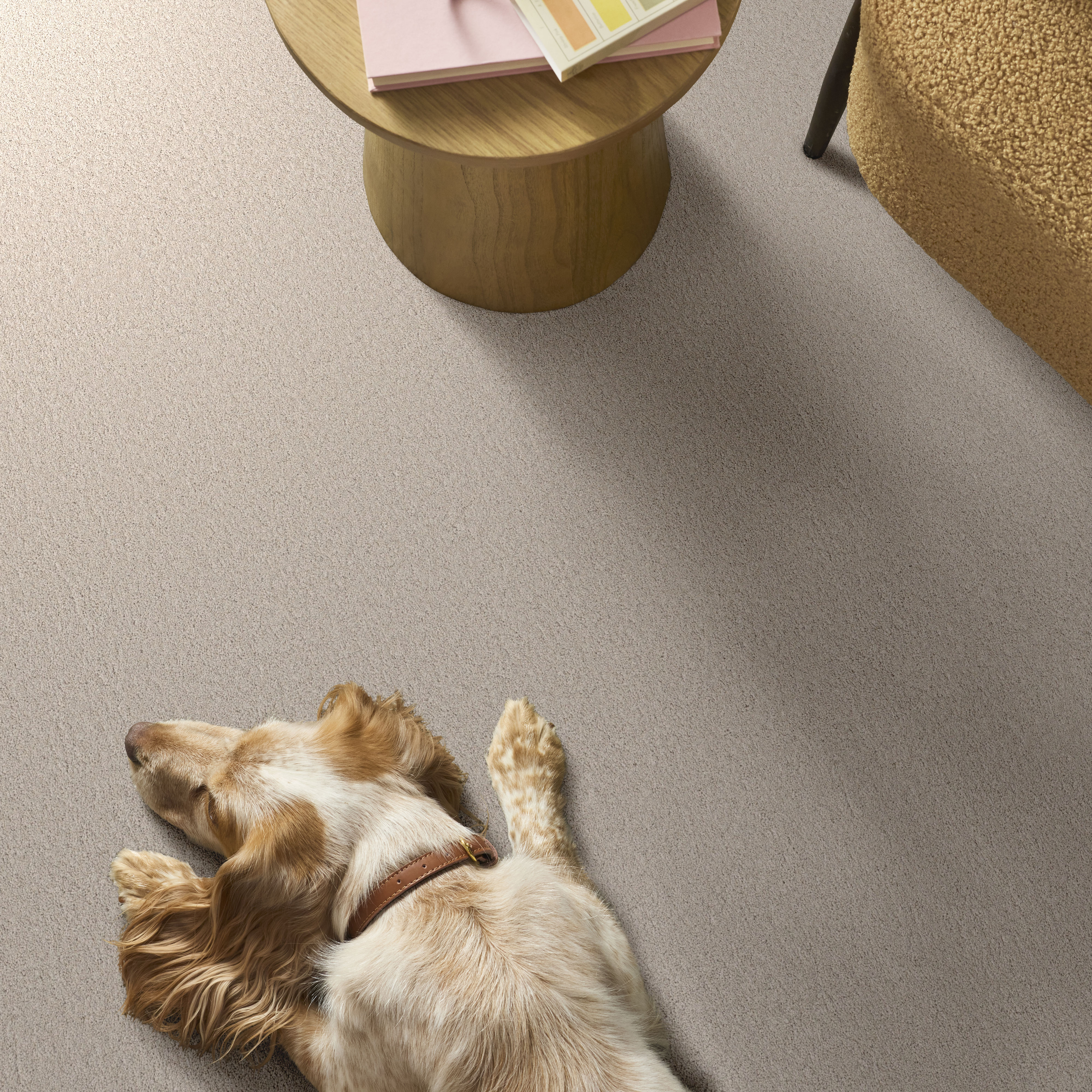 VELVET TOUCH I SOFT SENSE ROOM