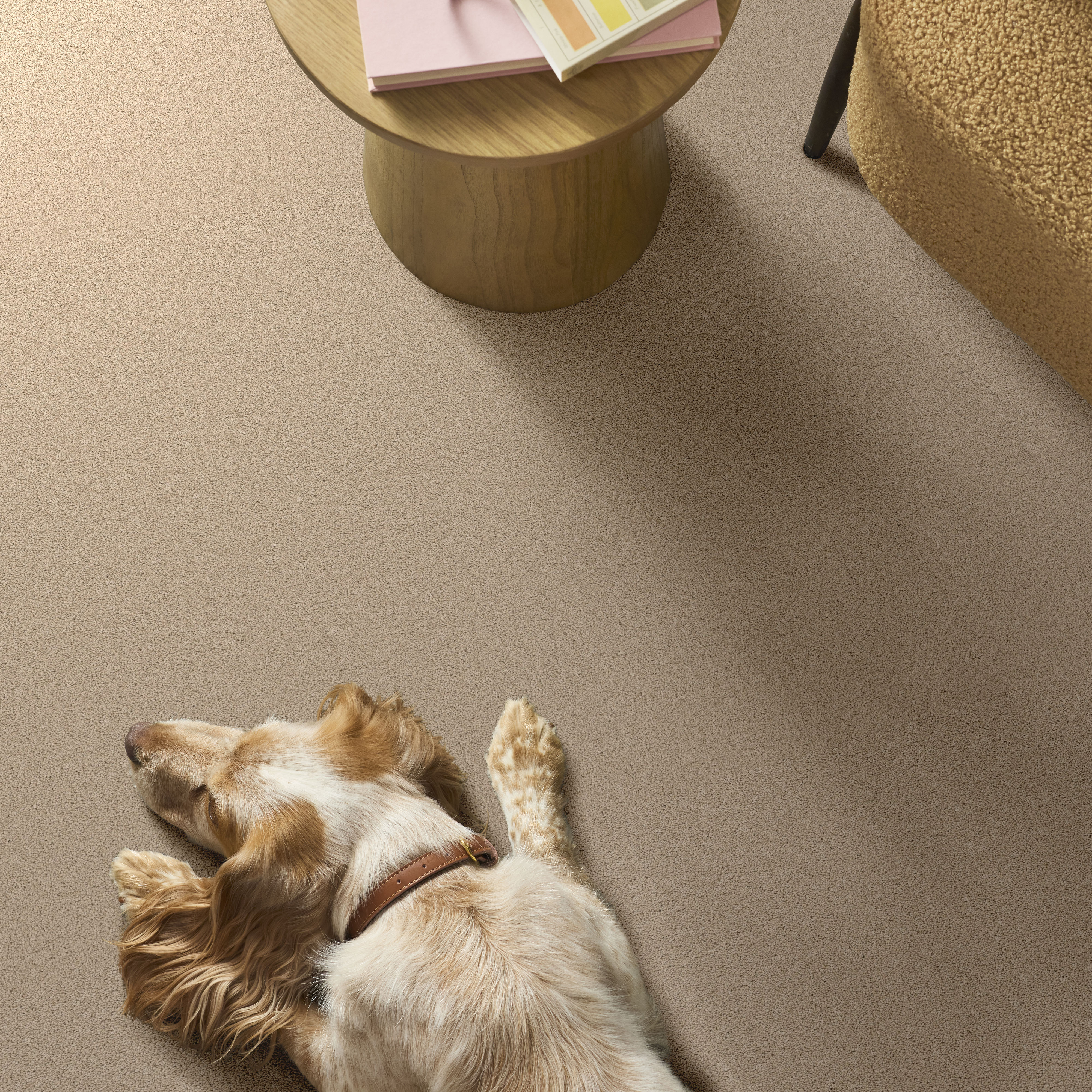 VELVET TOUCH I CASHEW ROOM