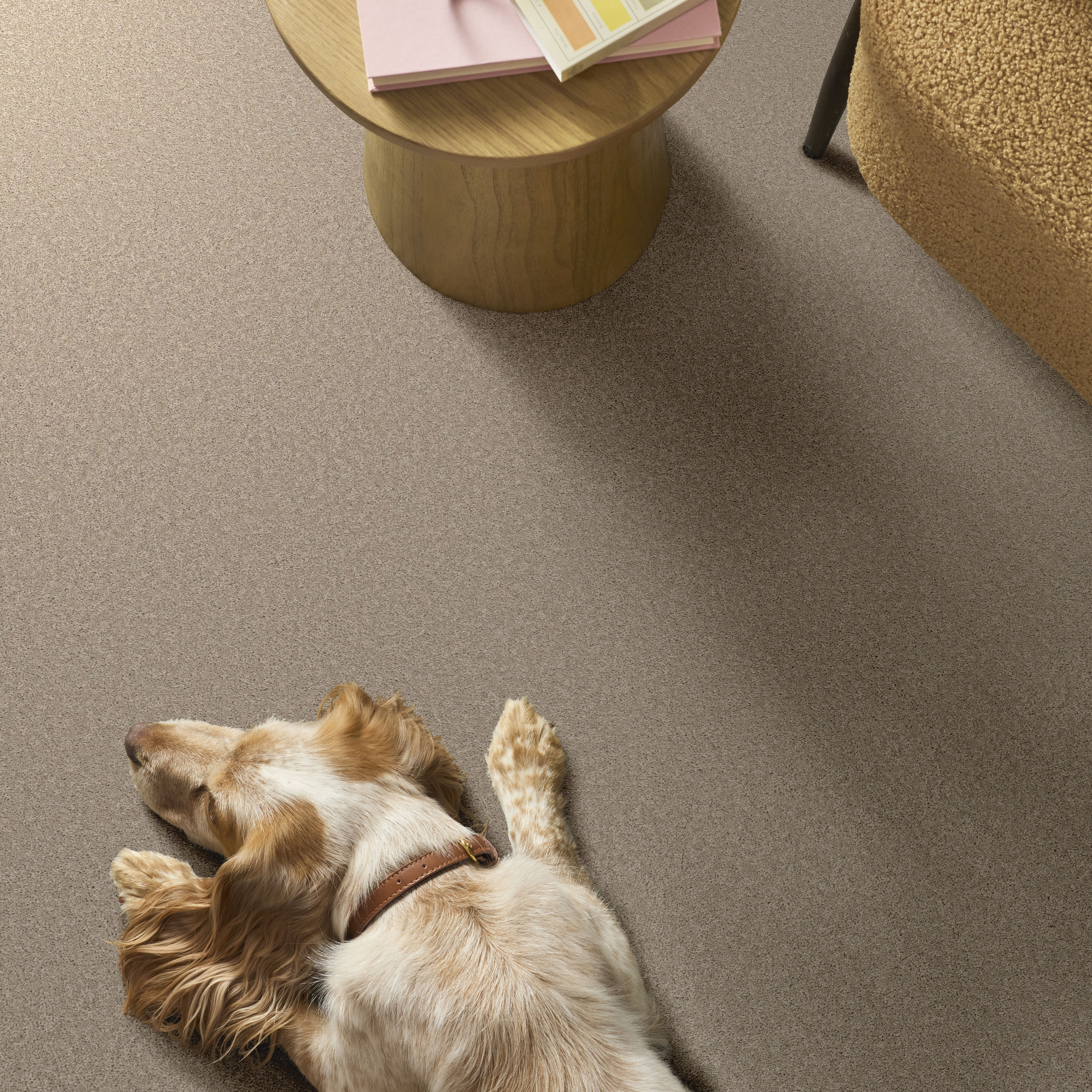 VELVET TOUCH I CHIC GREIGE ROOM