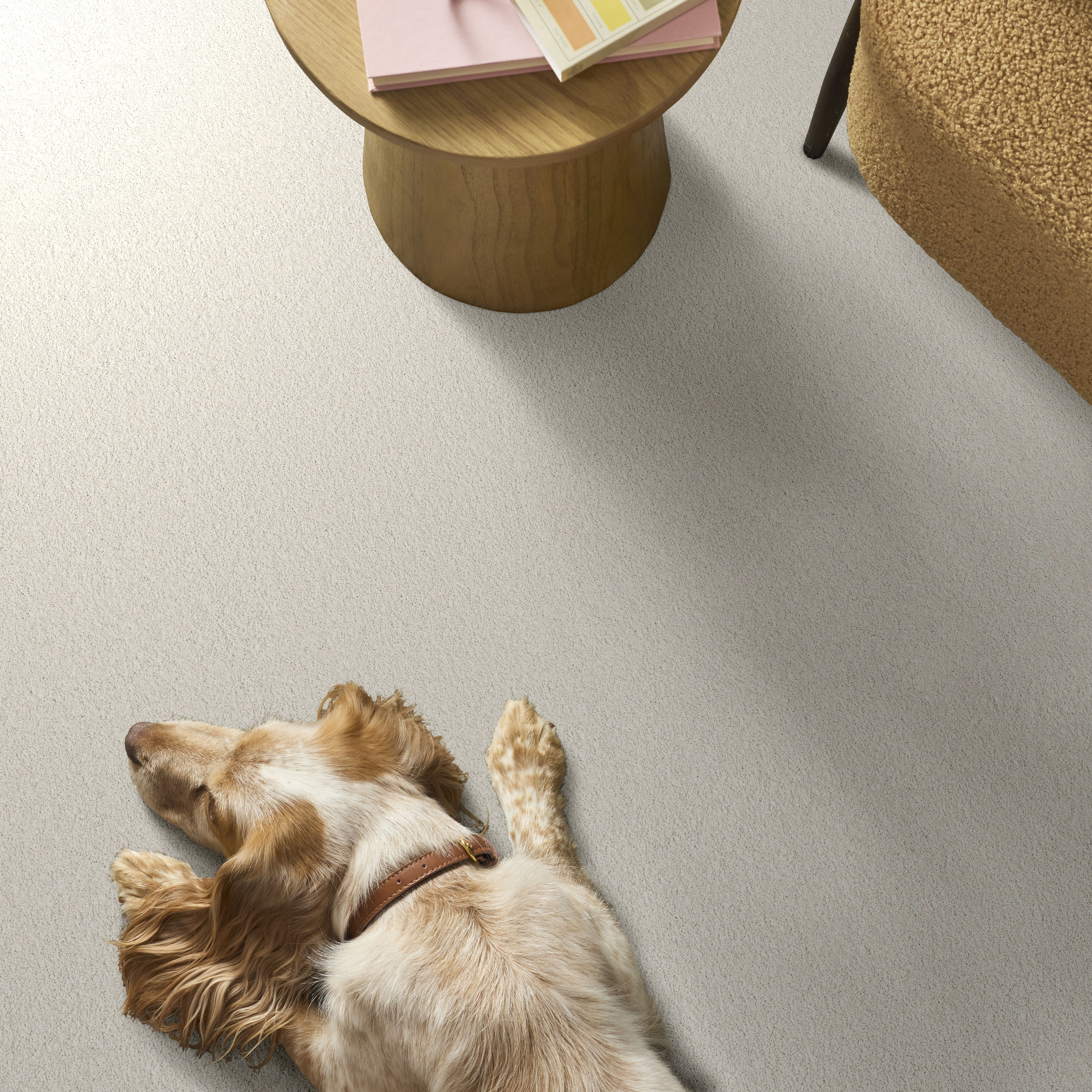 VELVET TOUCH I SNOWFALL ROOM