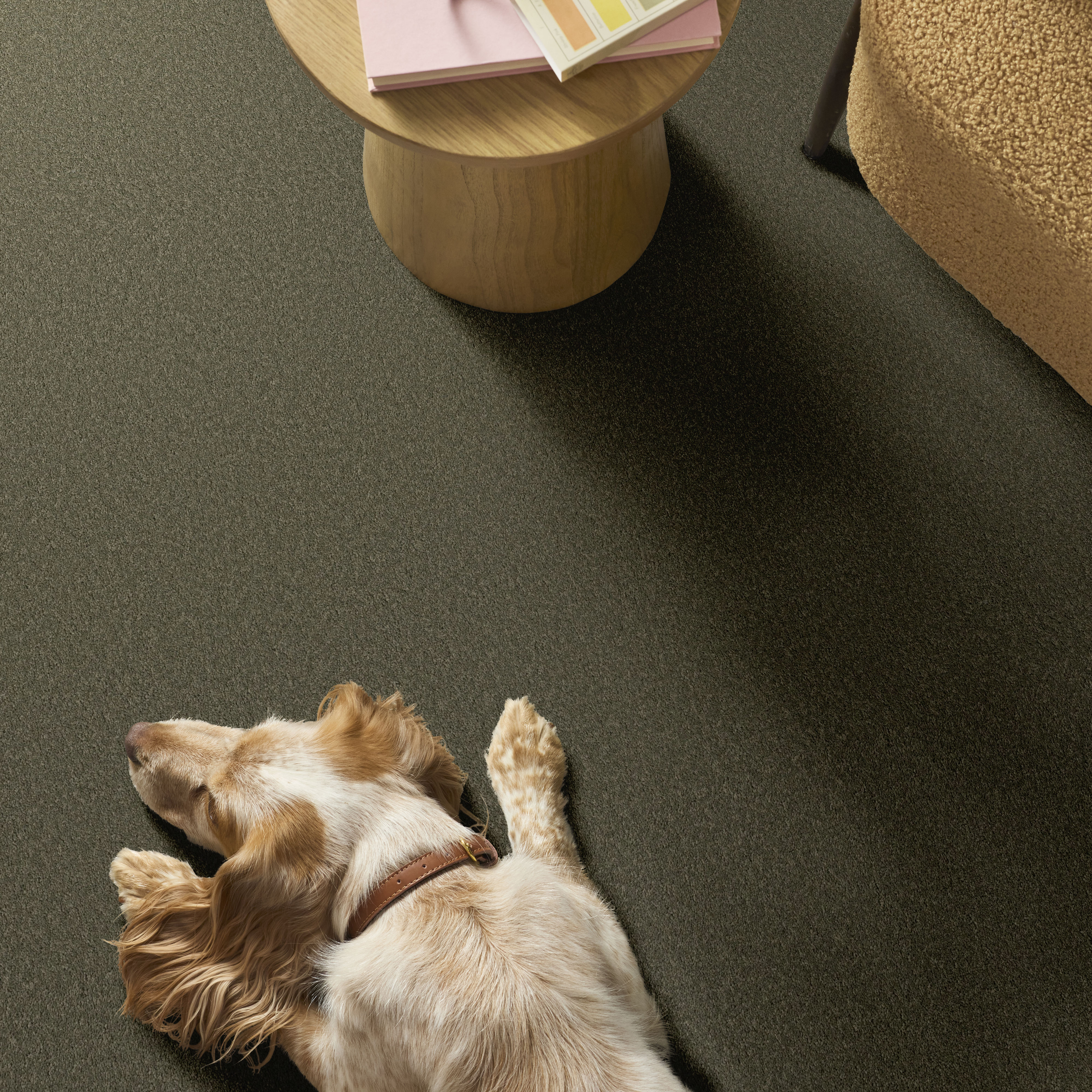 VELVET TOUCH I REROOTED NATURE ROOM