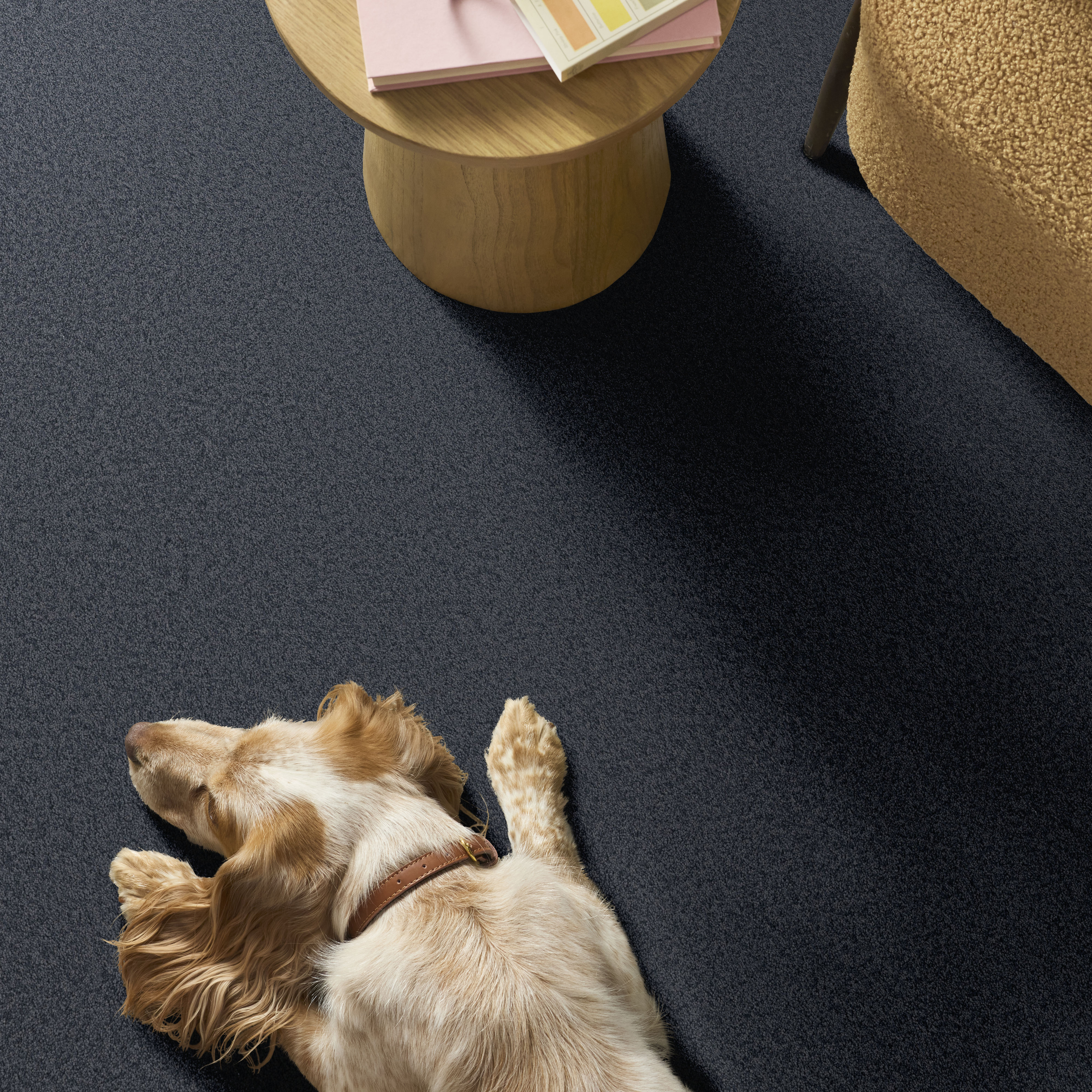 VELVET TOUCH I REFINED ROOM