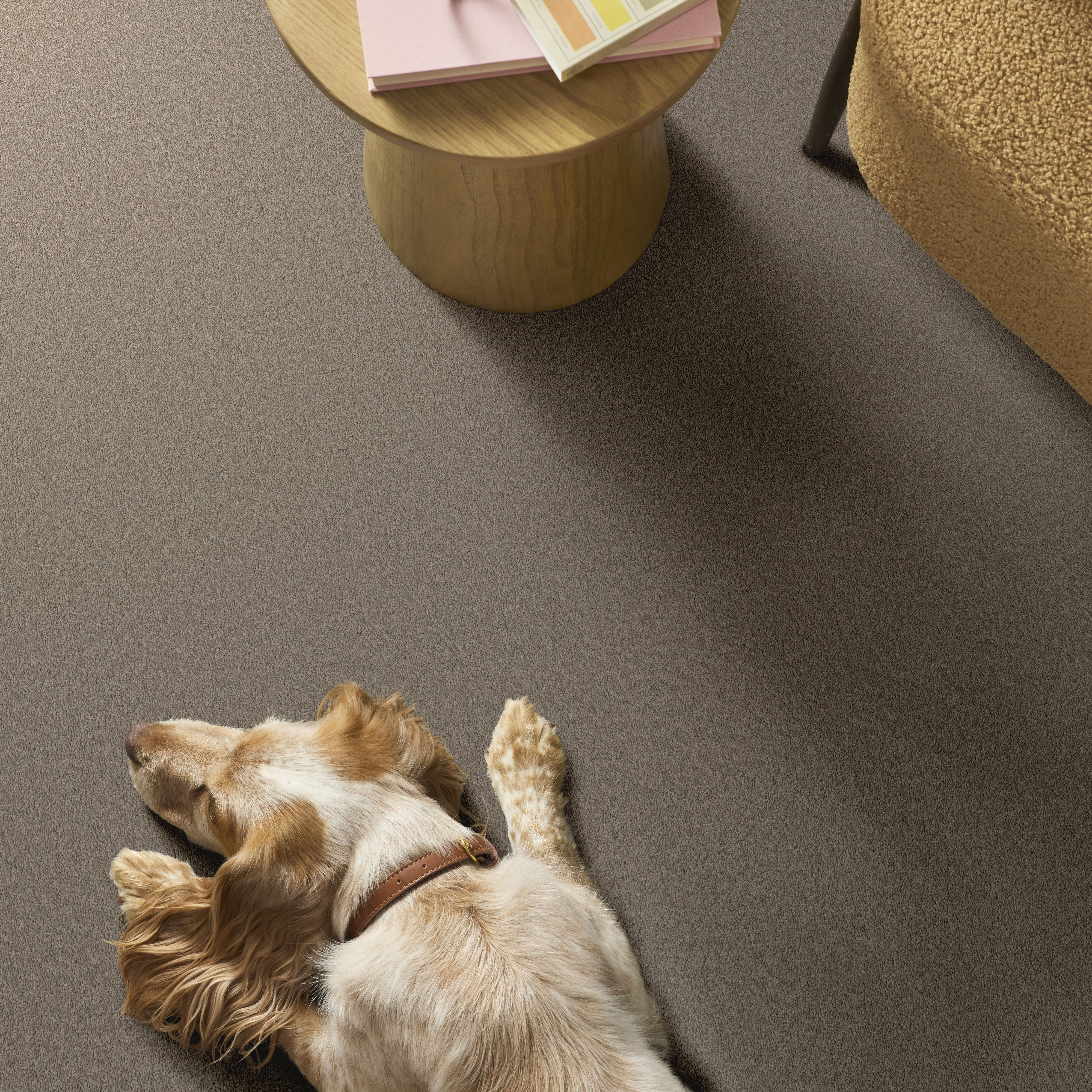 VELVET TOUCH I PLAZA TAUPE ROOM