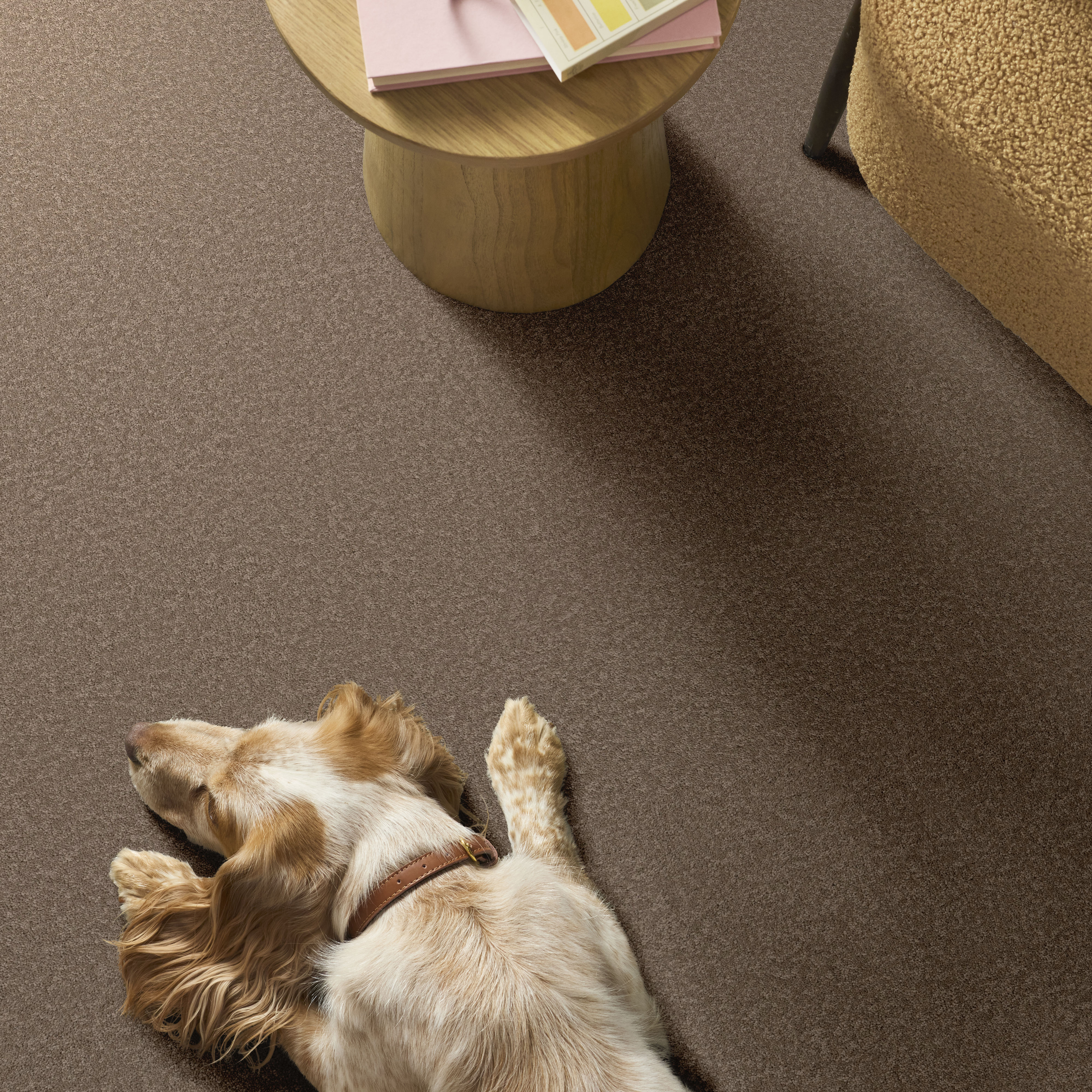 VELVET TOUCH II TIMBERLAKE ROOM