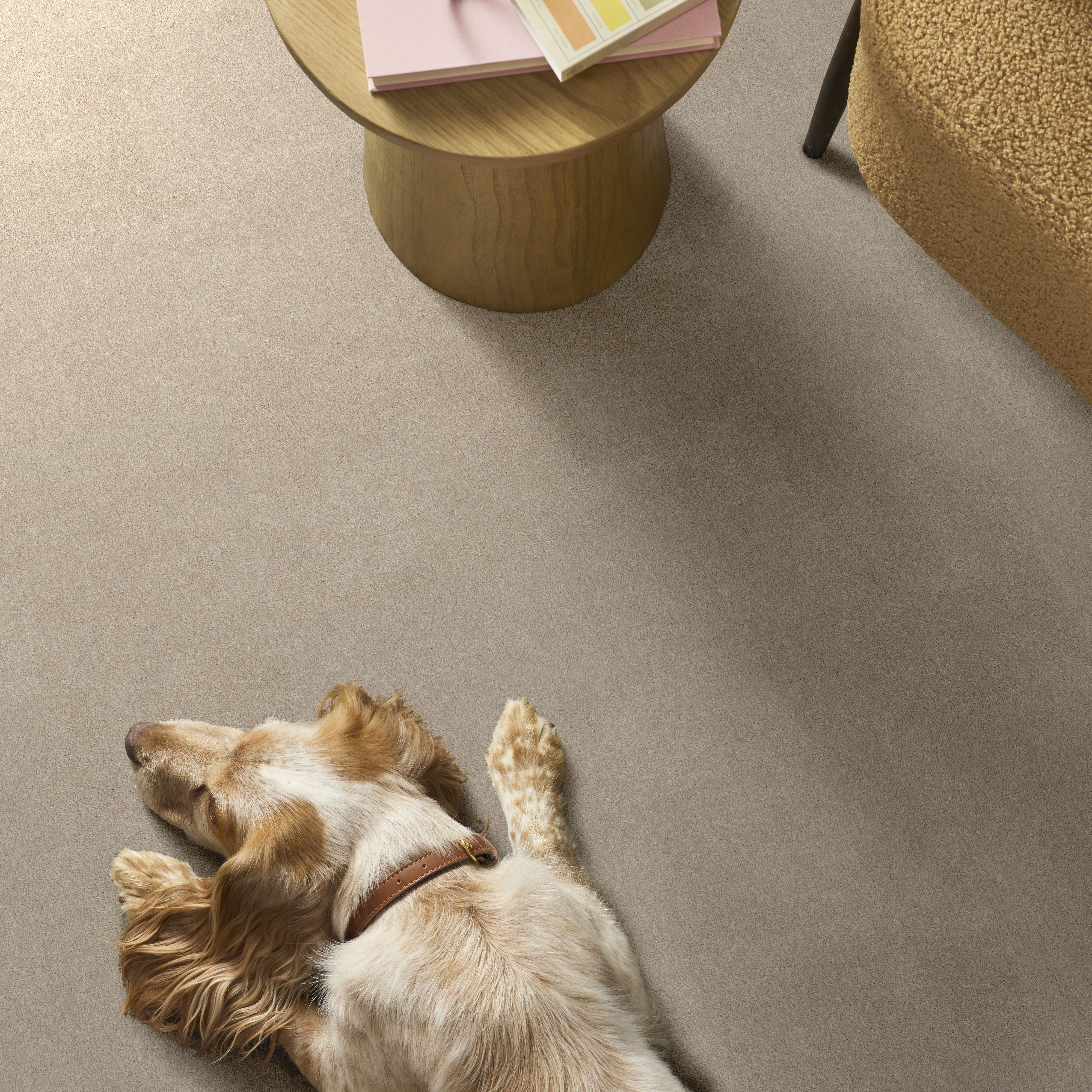 VIVID TOUCH I DUNE VIEW ROOM