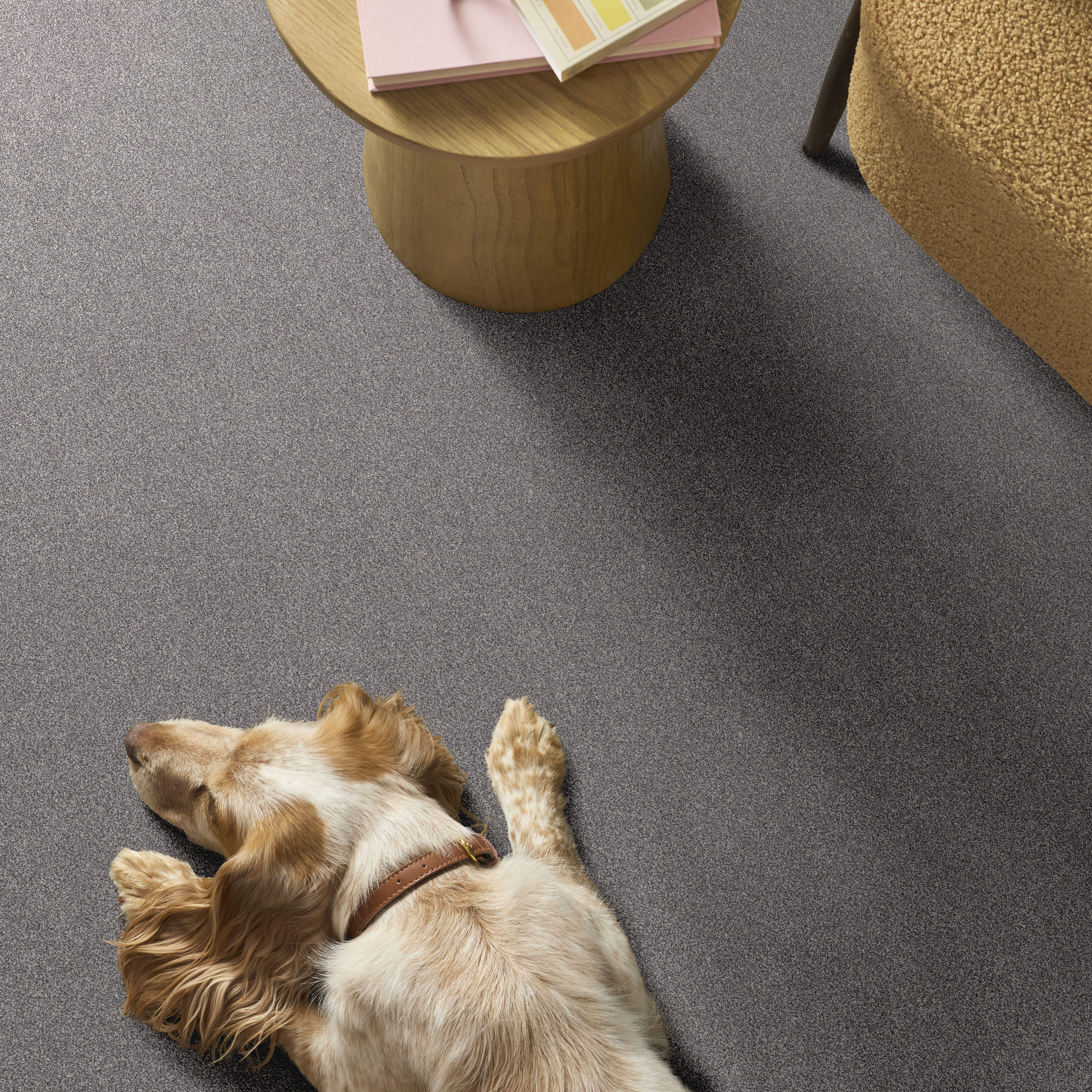 VIVID TOUCH I GRAPHIC ROOM