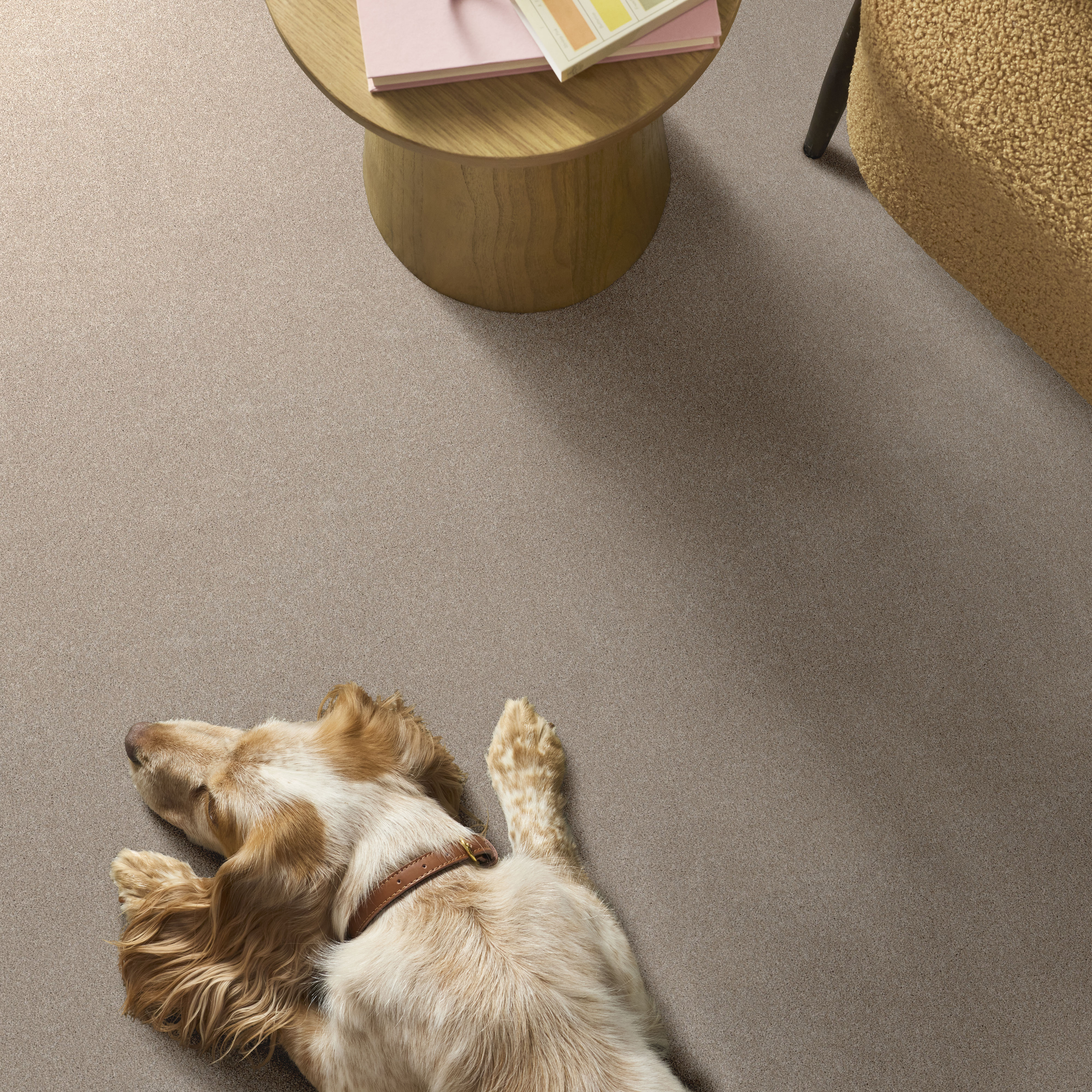 VIVID TOUCH II CAFE LATTE ROOM