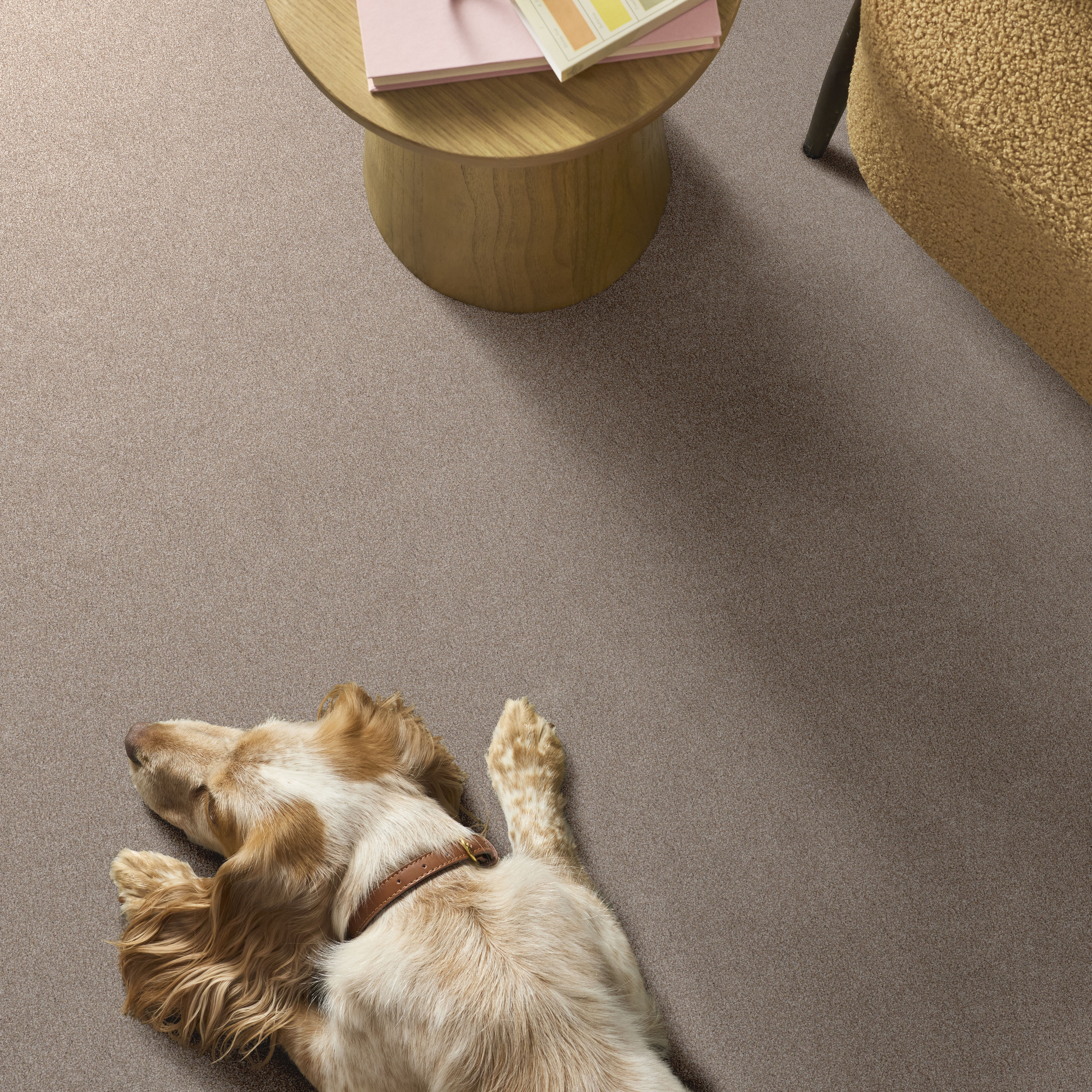 VIVID TOUCH II BAJA ROOM