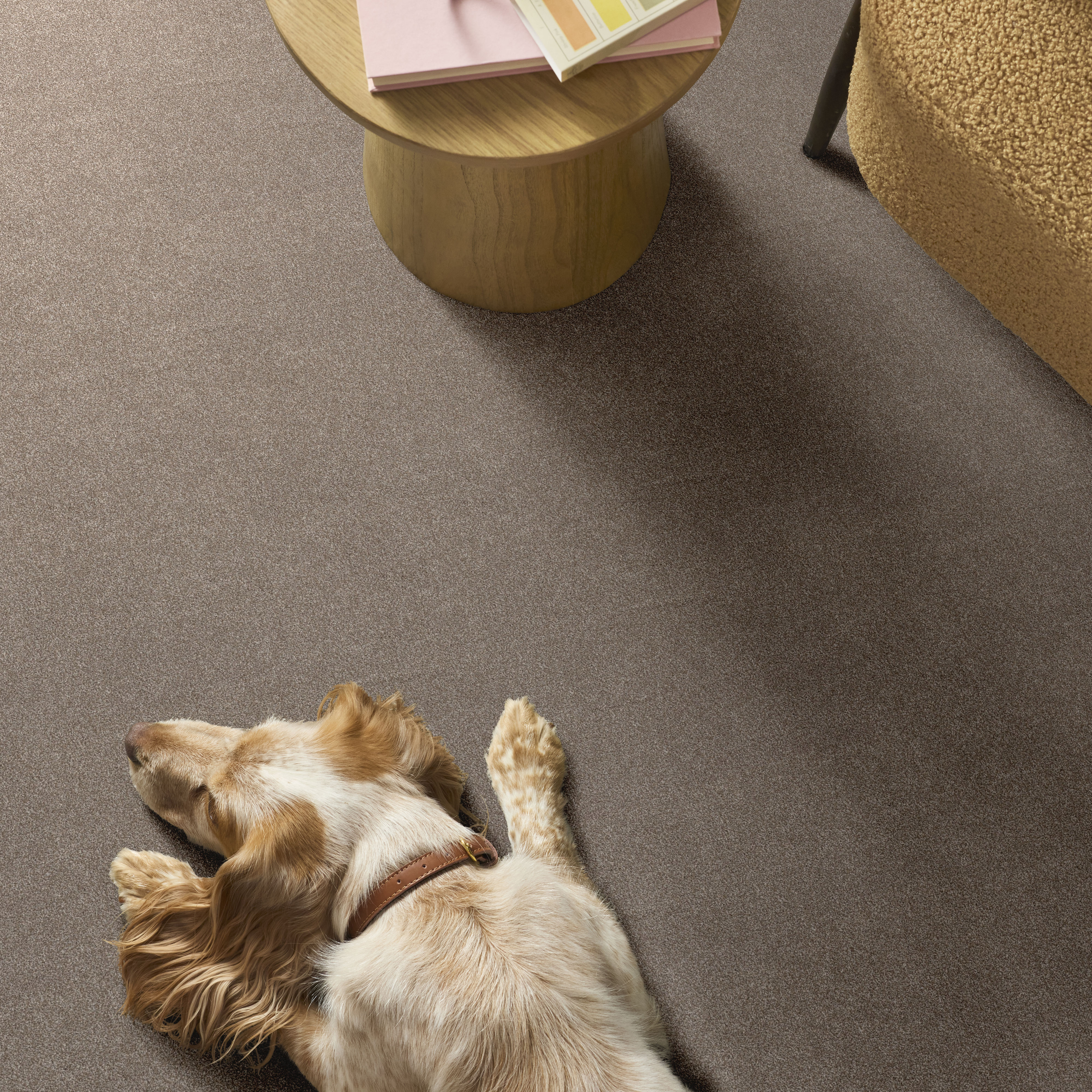 VIVID TOUCH II MOCHA ROOM