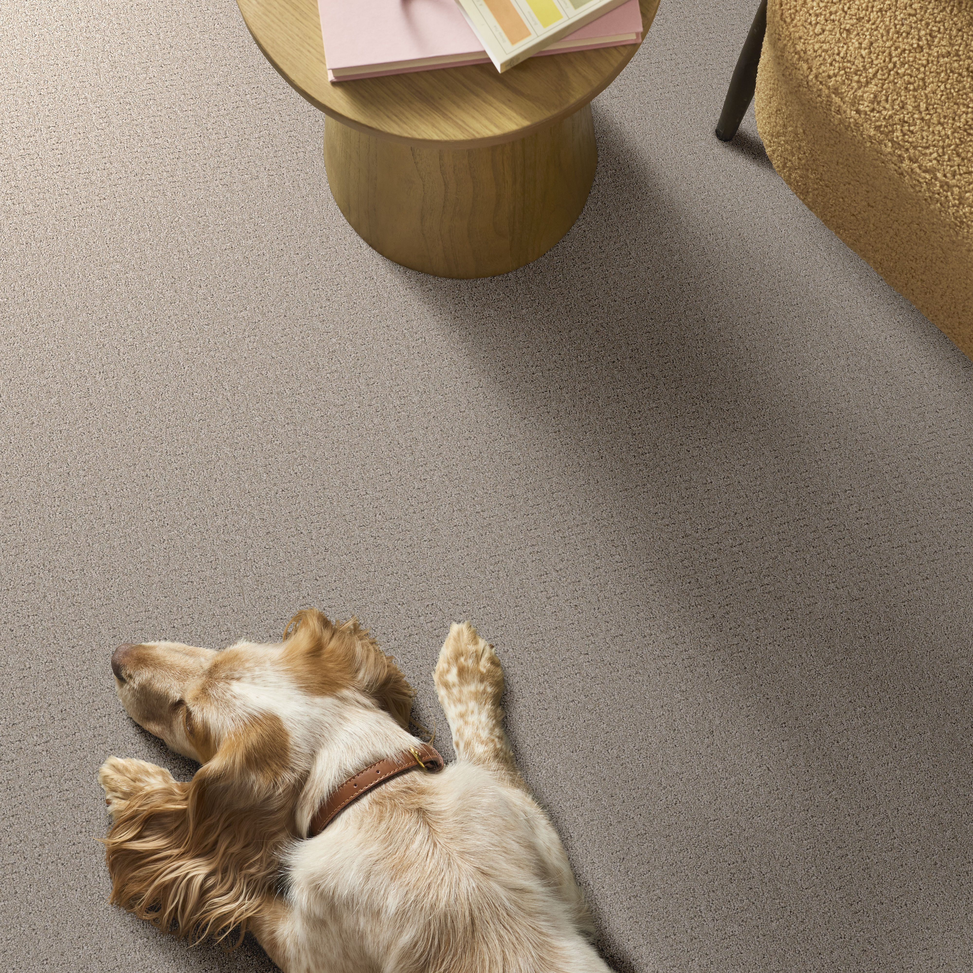 SECRET JOURNEY CHIC TAUPE ROOM