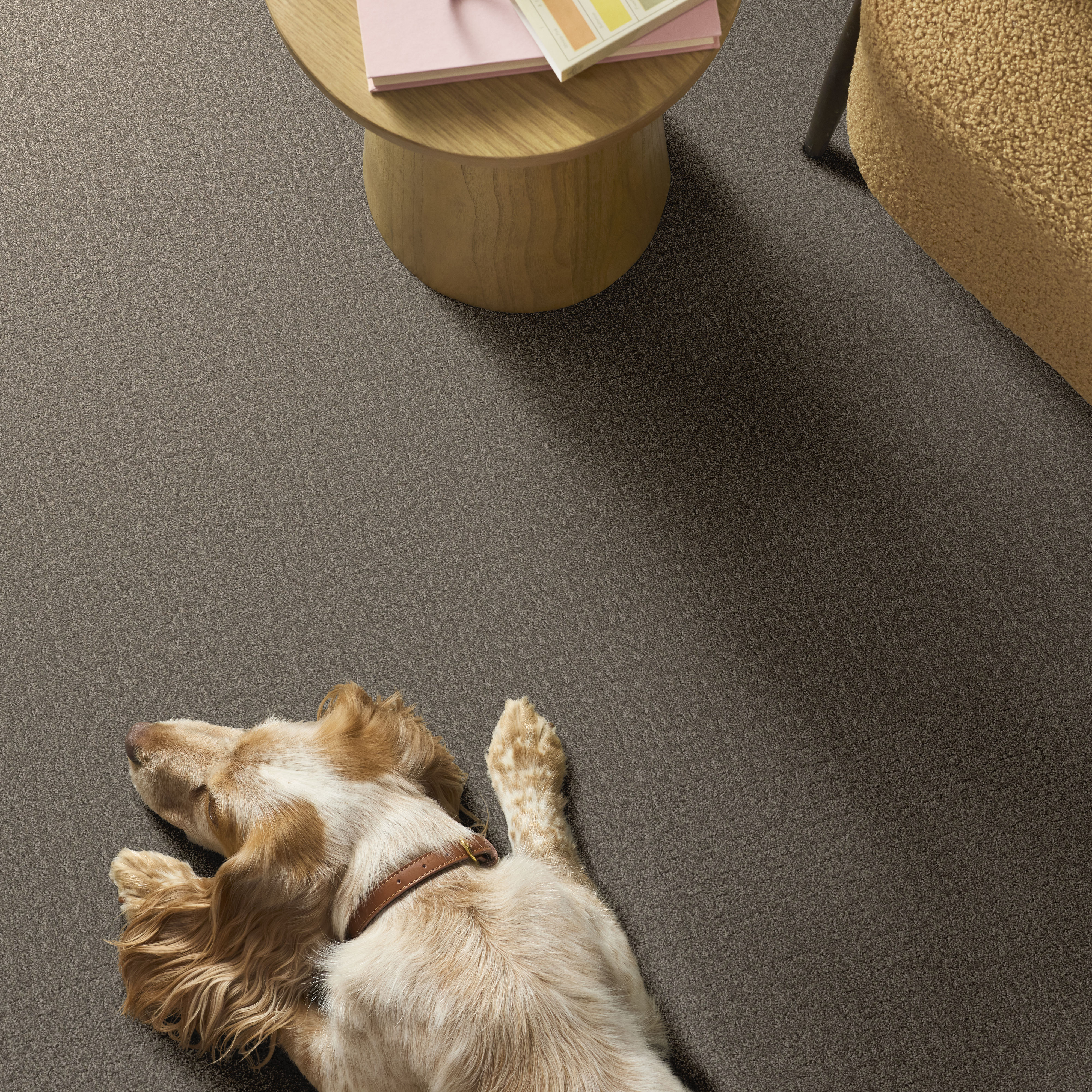 SECRET JOURNEY HIDEAWAY ROOM