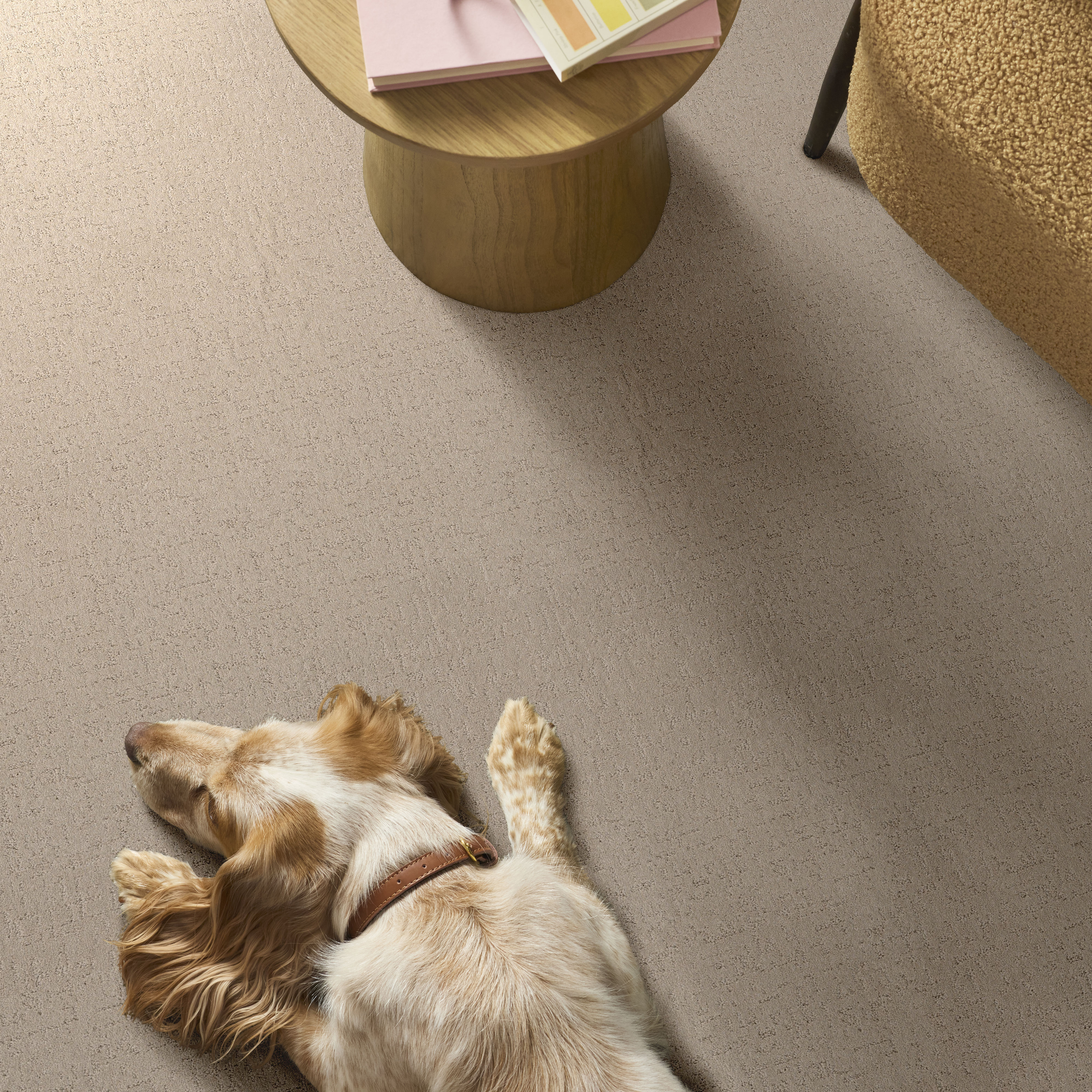 SECRET DESTINATION DUNE VIEW ROOM