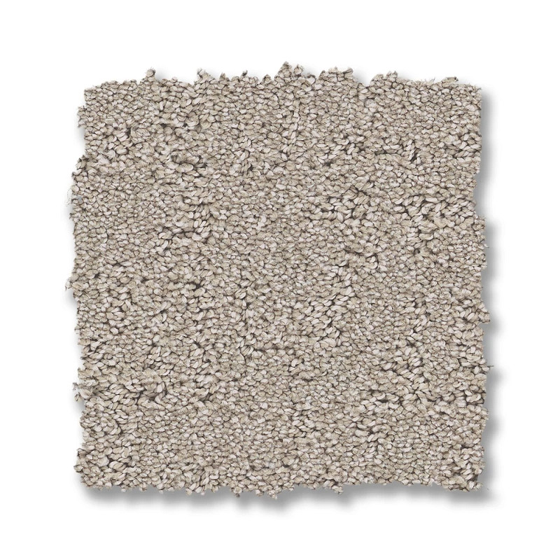 SECRET DESTINATION in Chic Taupe by Shaw Floors