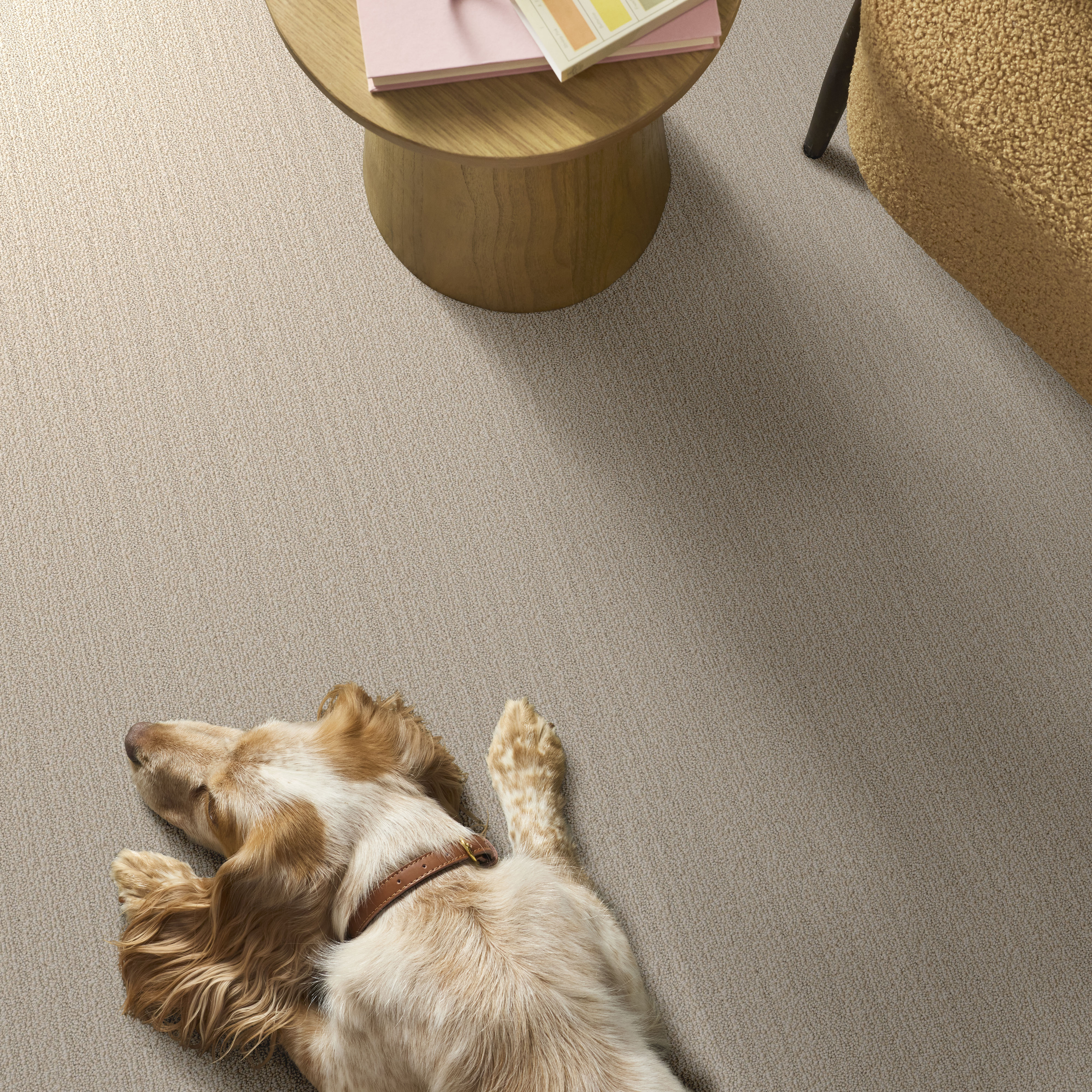 NATURAL EMBRACE WOOL BLANKET ROOM