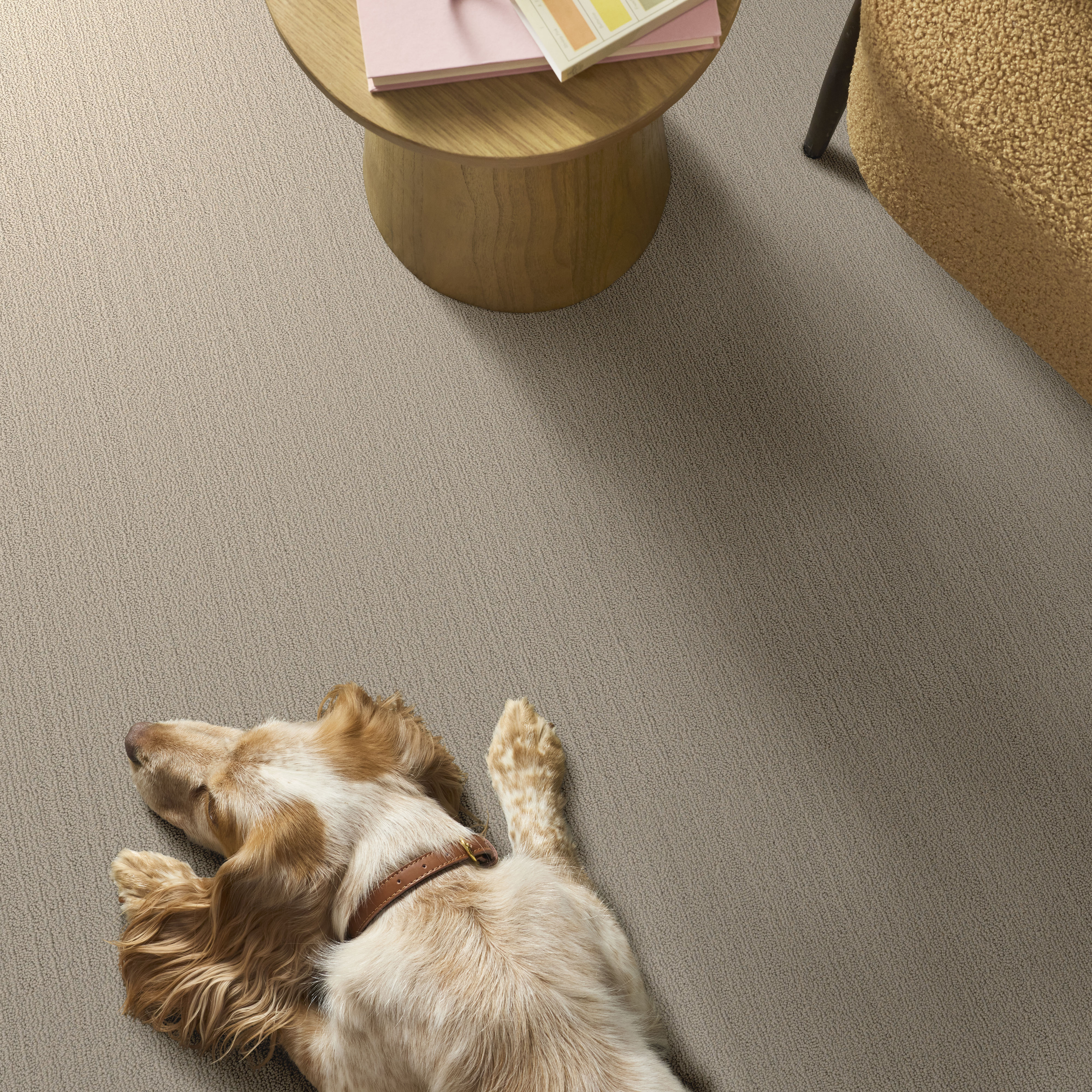 NATURAL EMBRACE BLISSFUL BEIGE ROOM