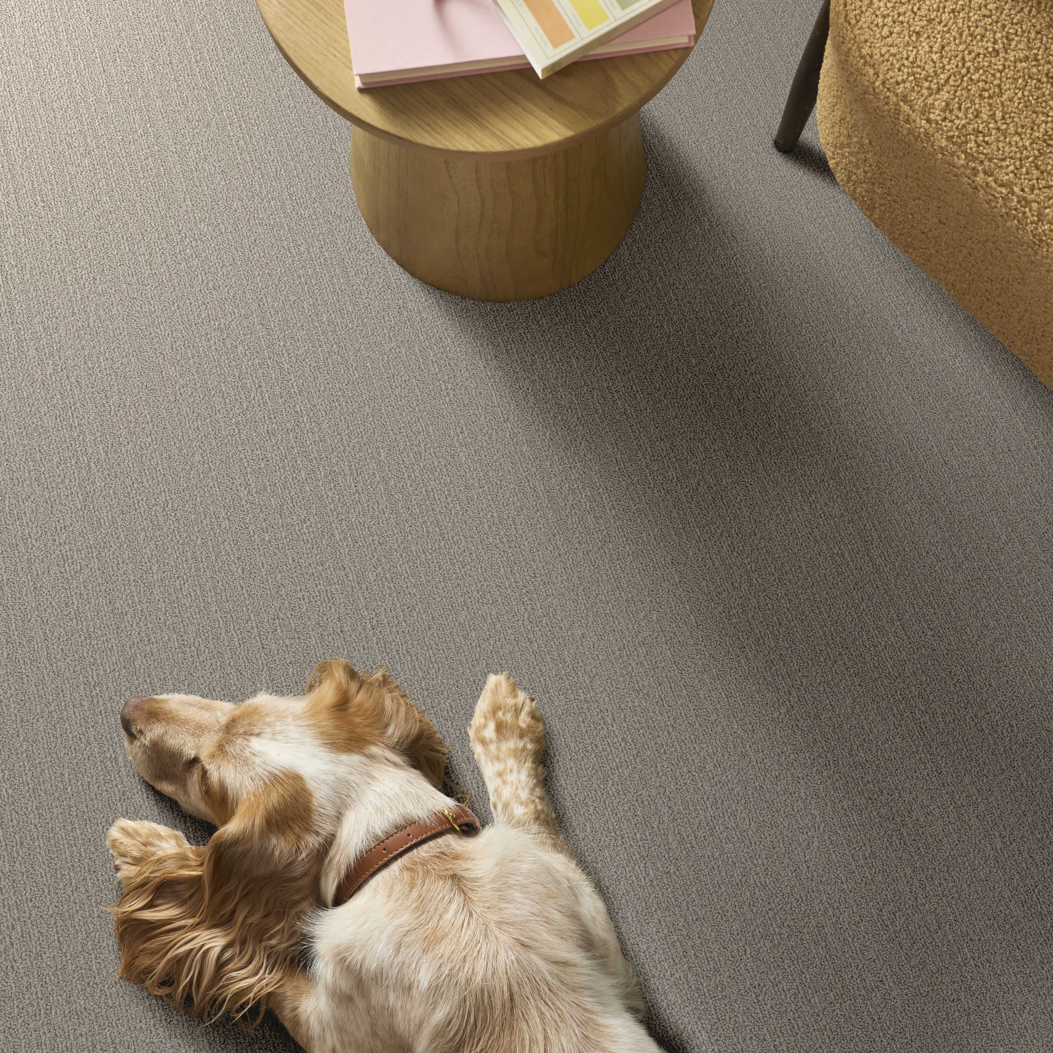 NATURAL EMBRACE WARM TAUPE ROOM