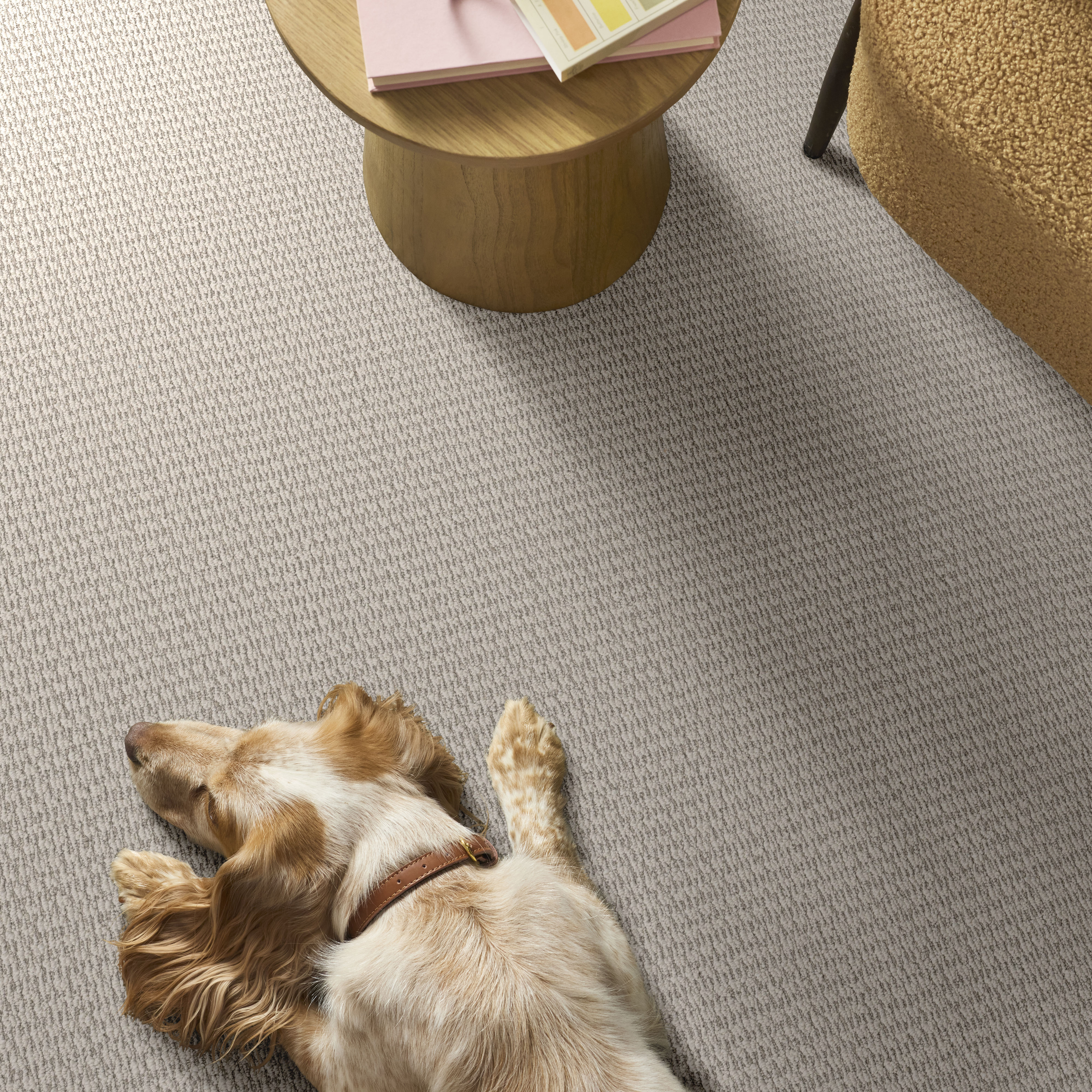 COZY EMBRACE TWILIGHT ROOM