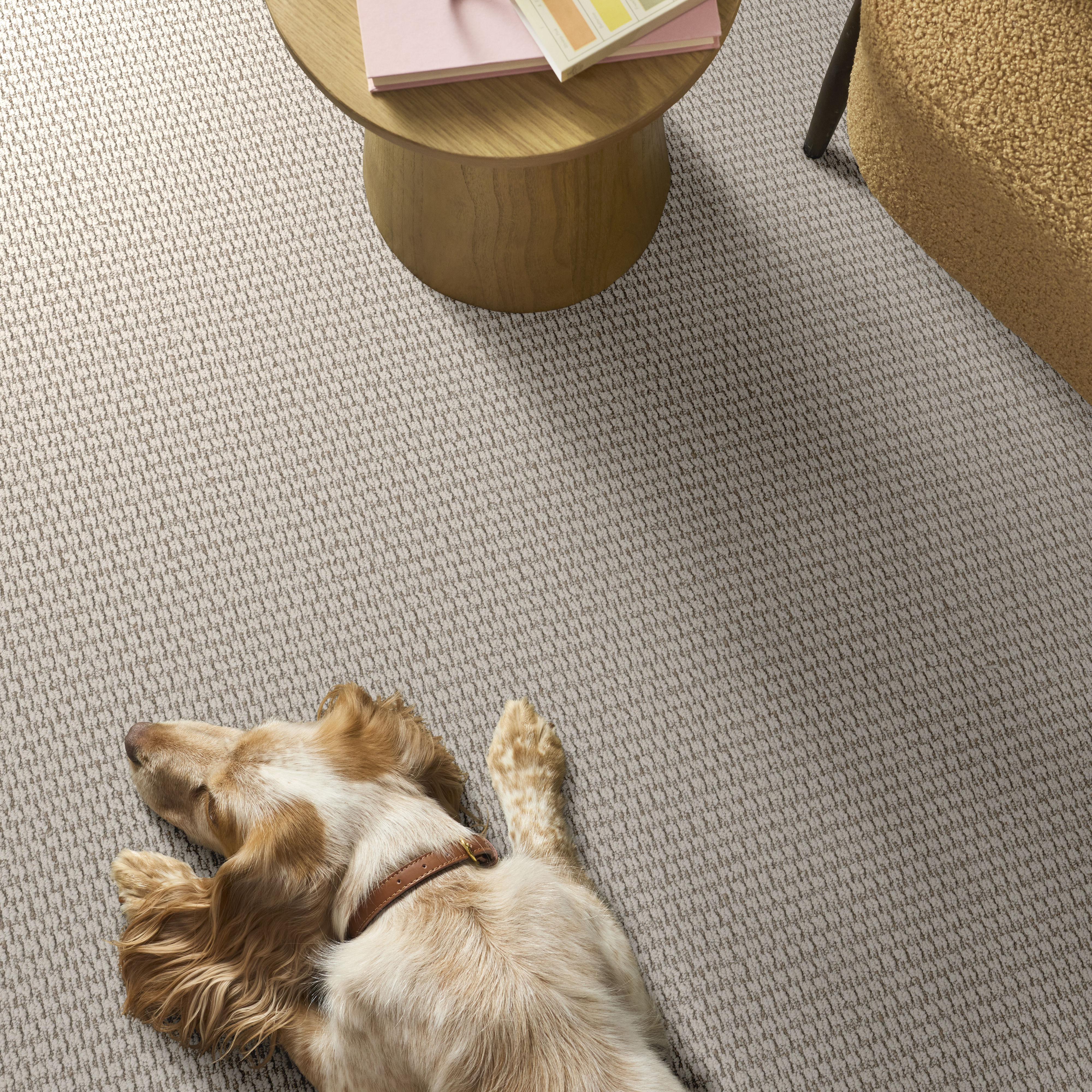 COZY EMBRACE WOOL BLANKET ROOM