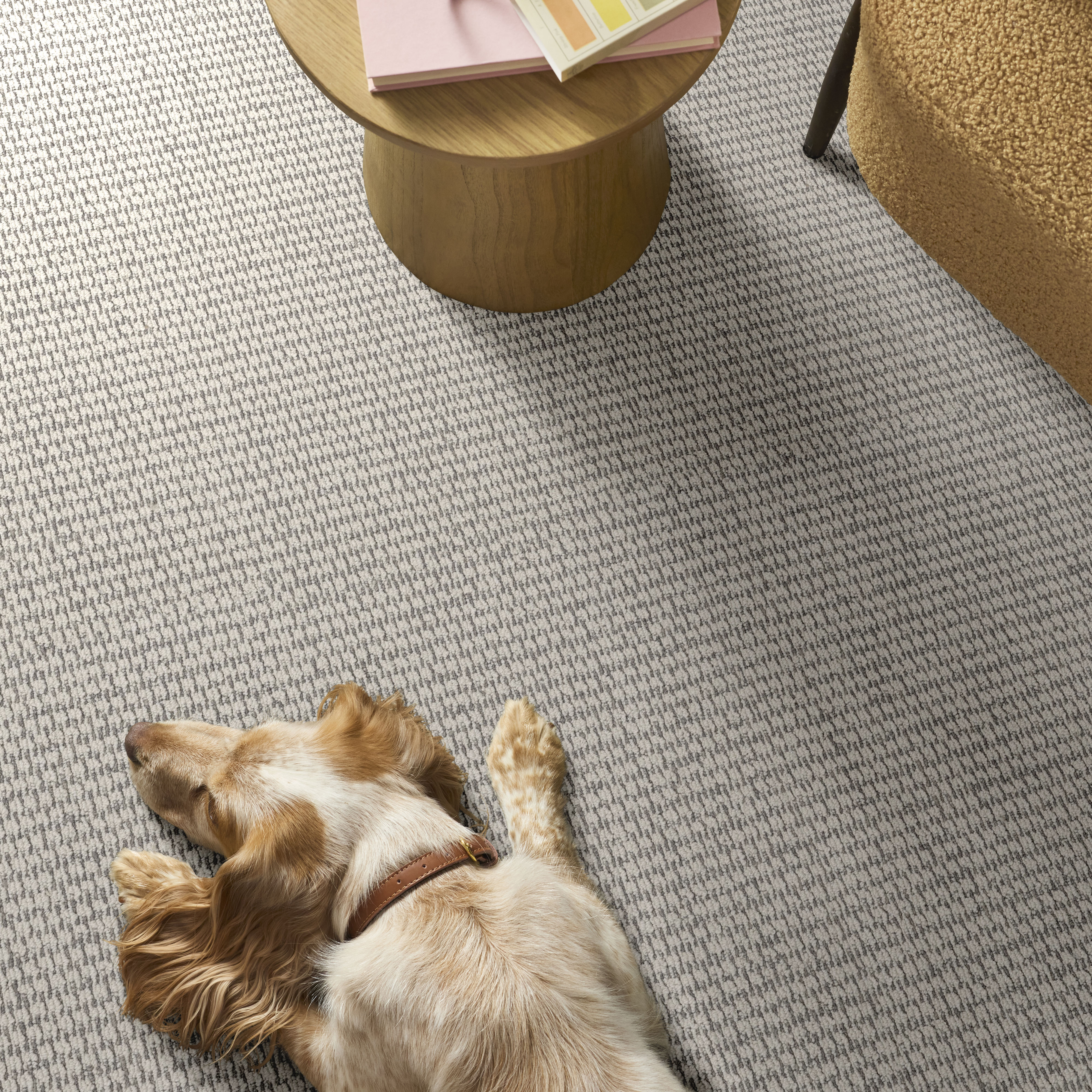 COZY EMBRACE CREAMY ROOM