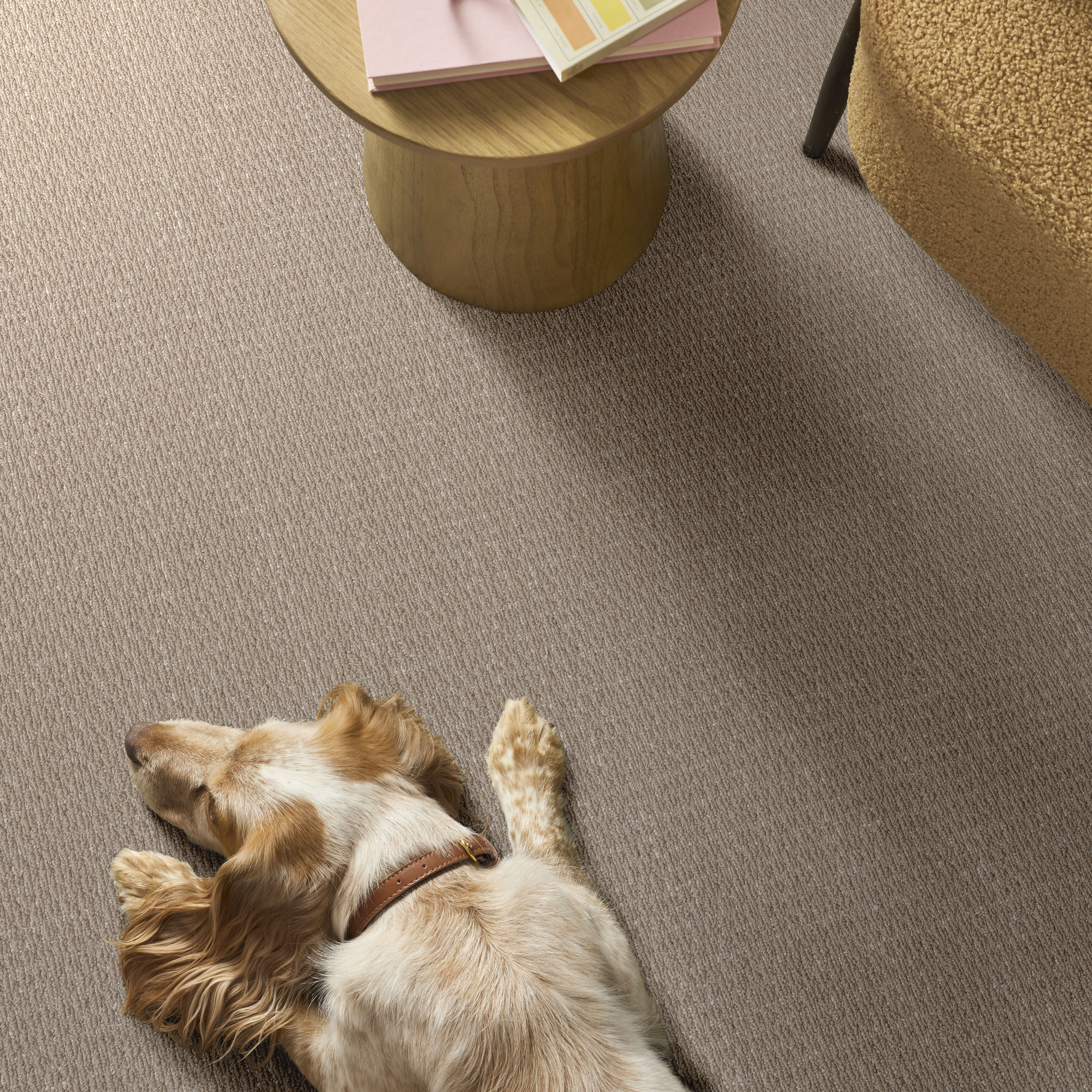 COZY EMBRACE NATURAL SISAL ROOM