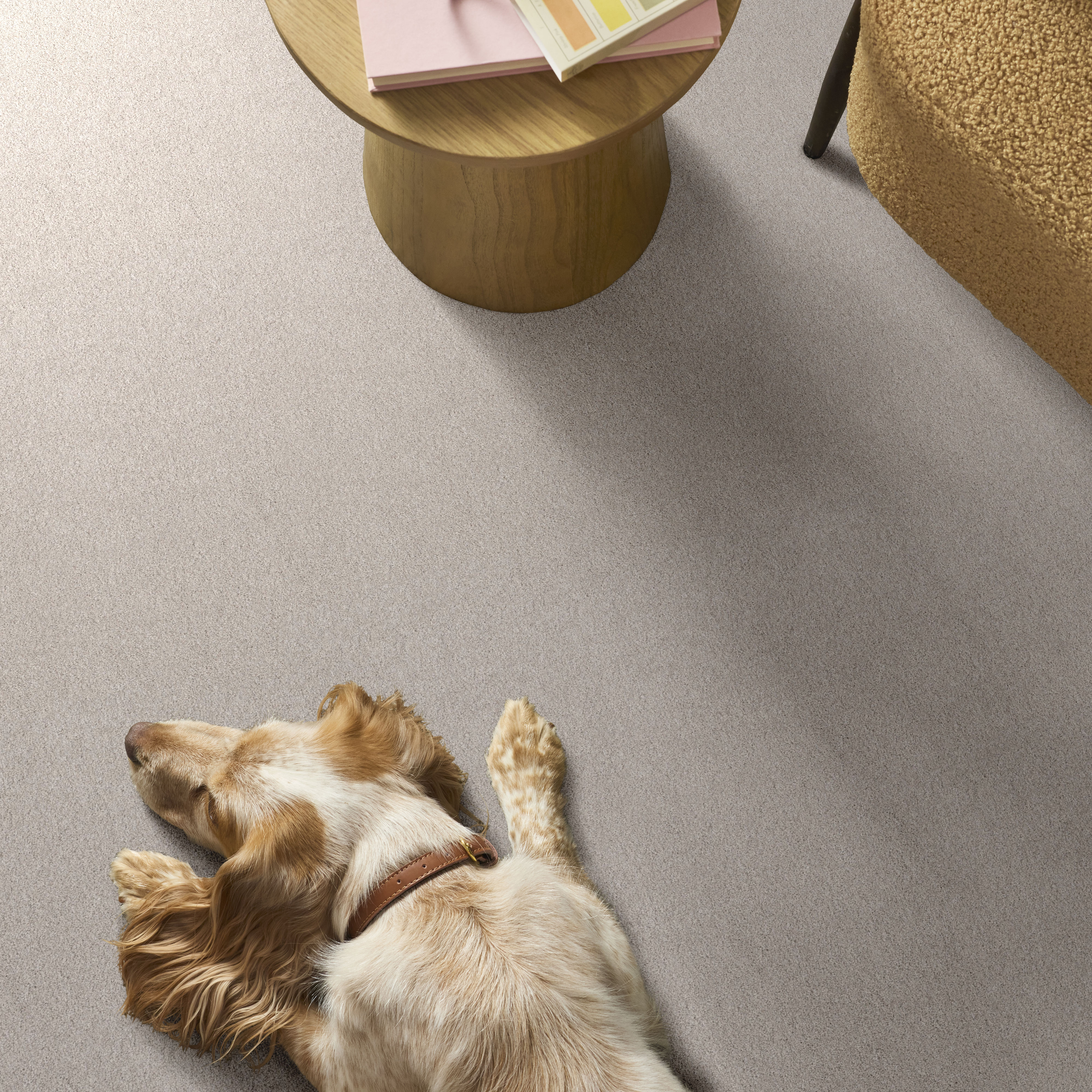 BLENDED TOUCH I KASHMIR WHITE ROOM