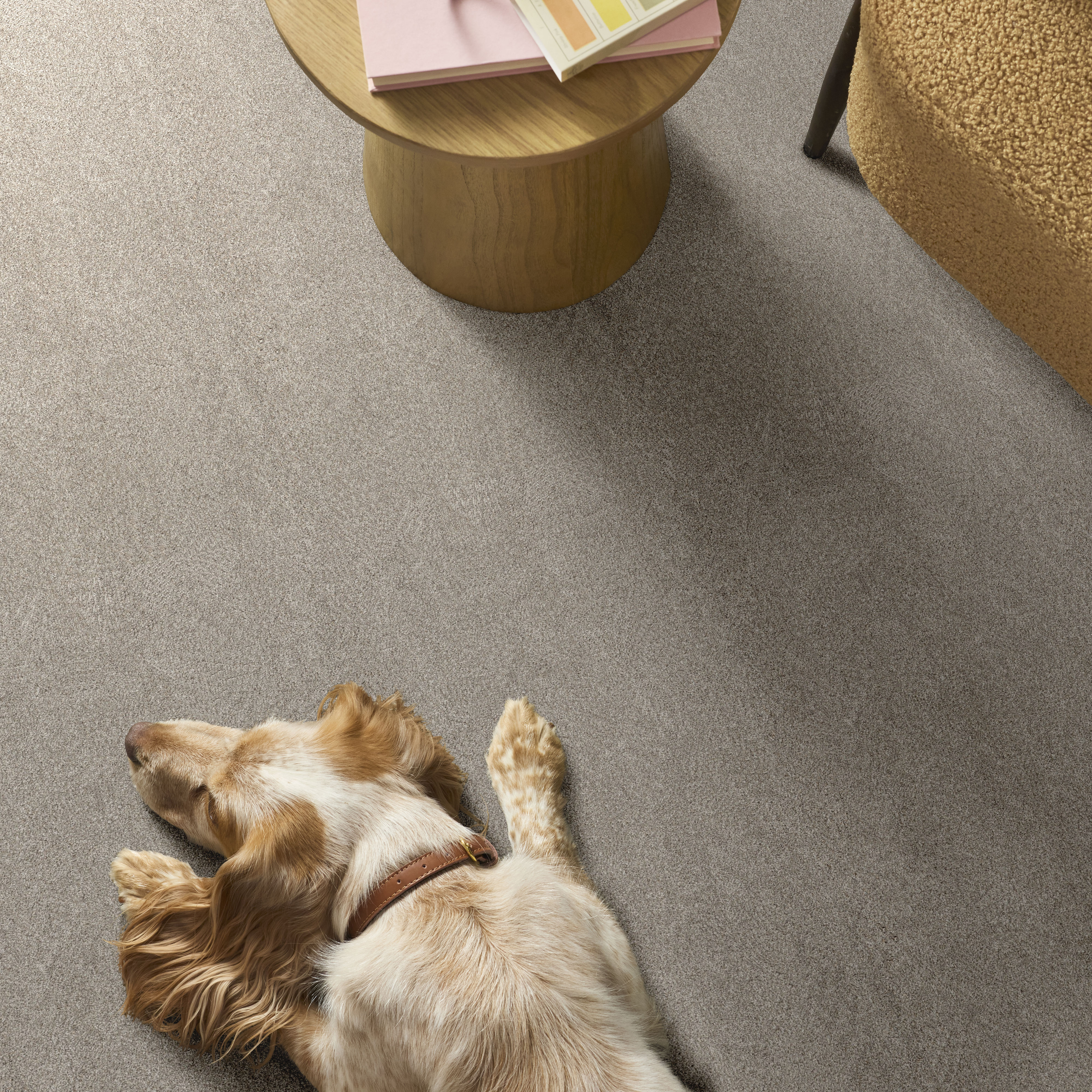 BLENDED TOUCH I RAW SILK ROOM