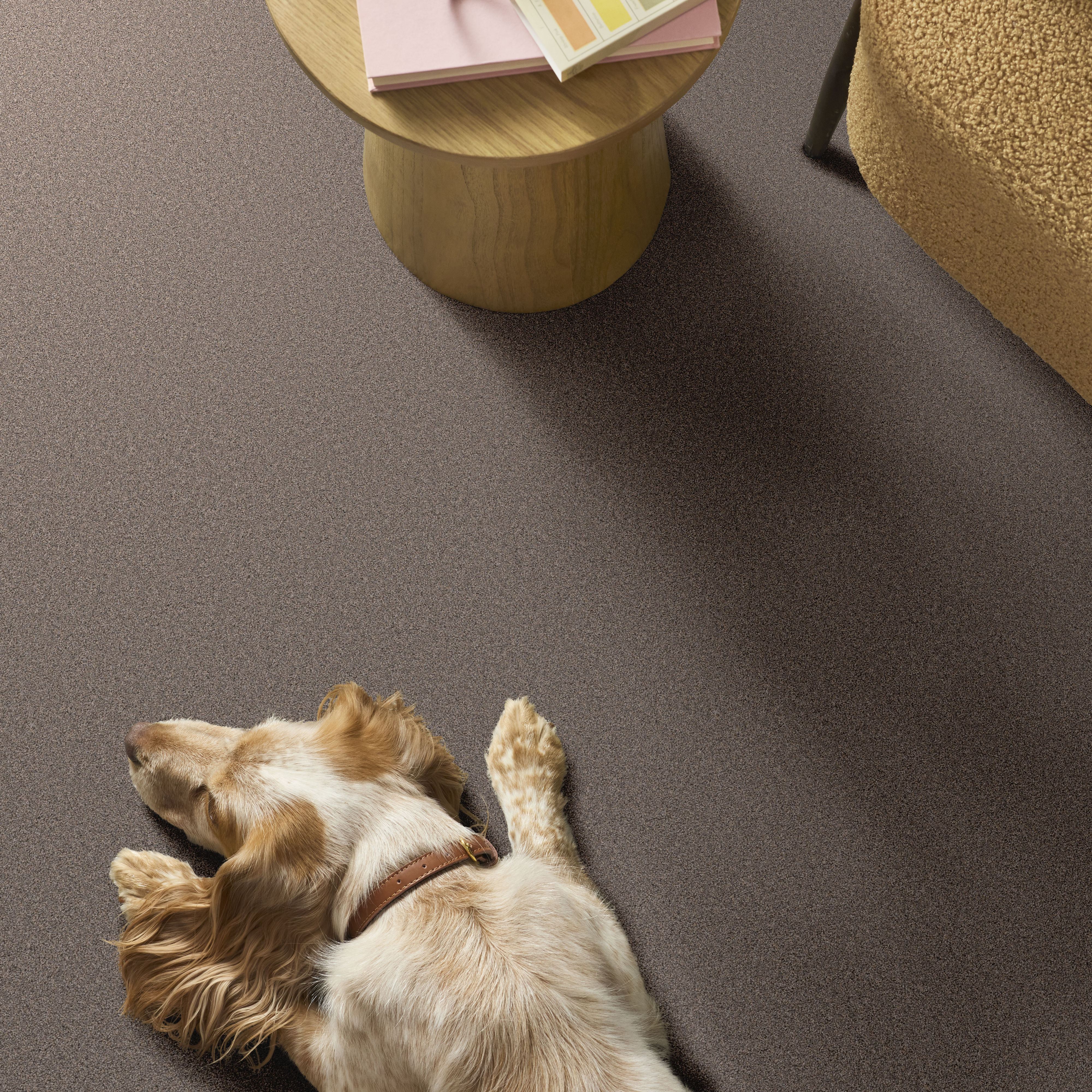 BLENDED TOUCH I NEWSTAR ROOM