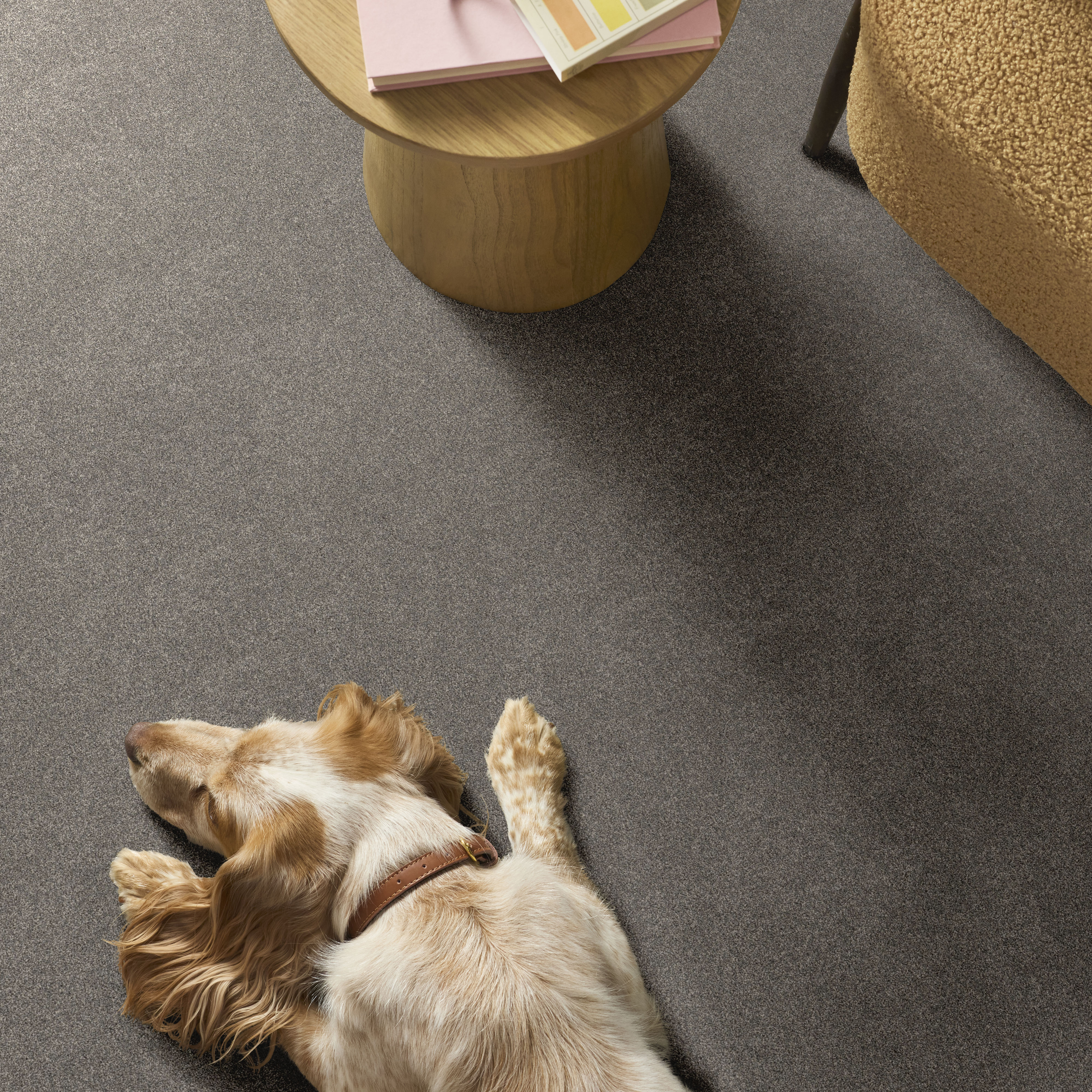 BLENDED TOUCH I CONCRETE ROOM