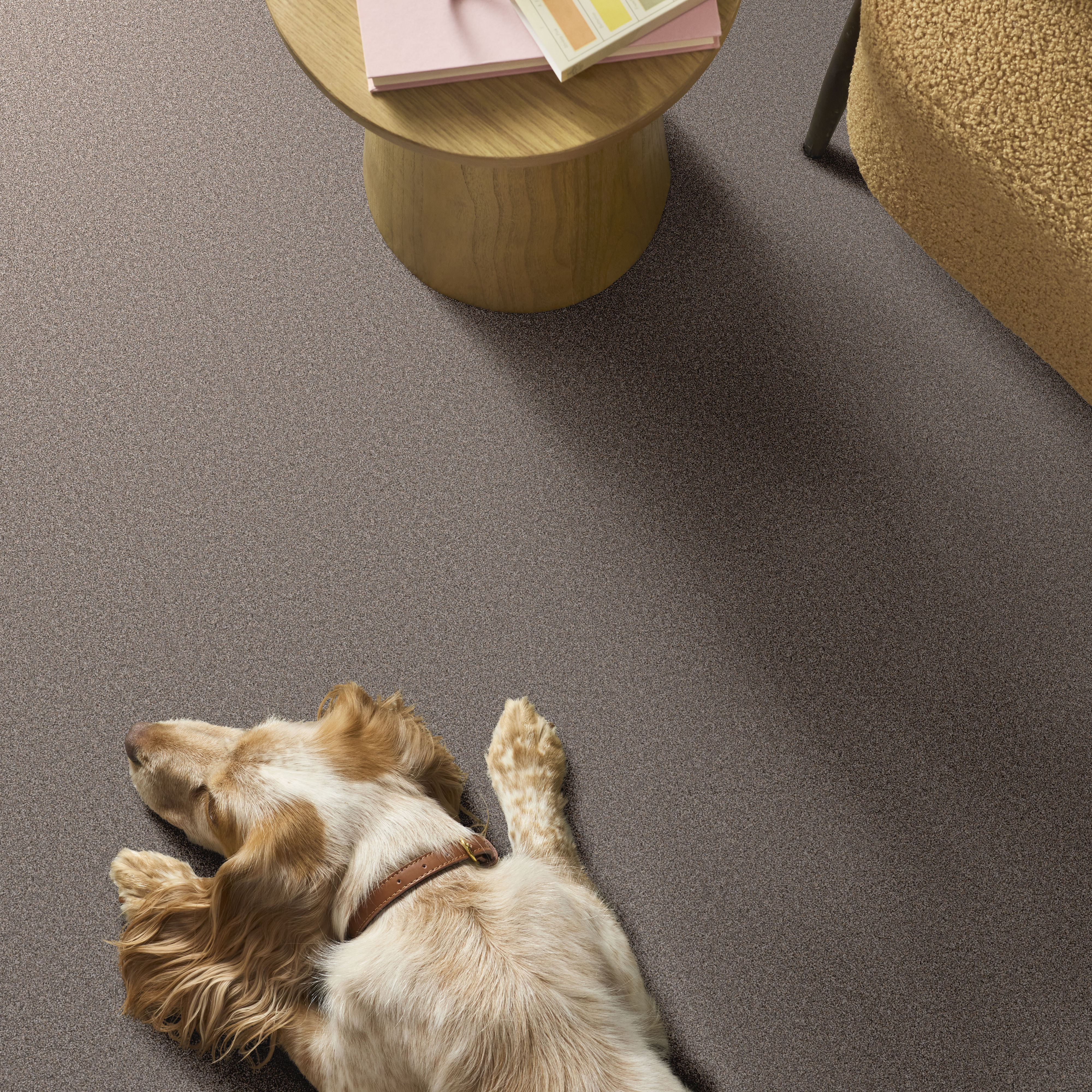 BLENDED TOUCH I HOUNDSTOOTH ROOM