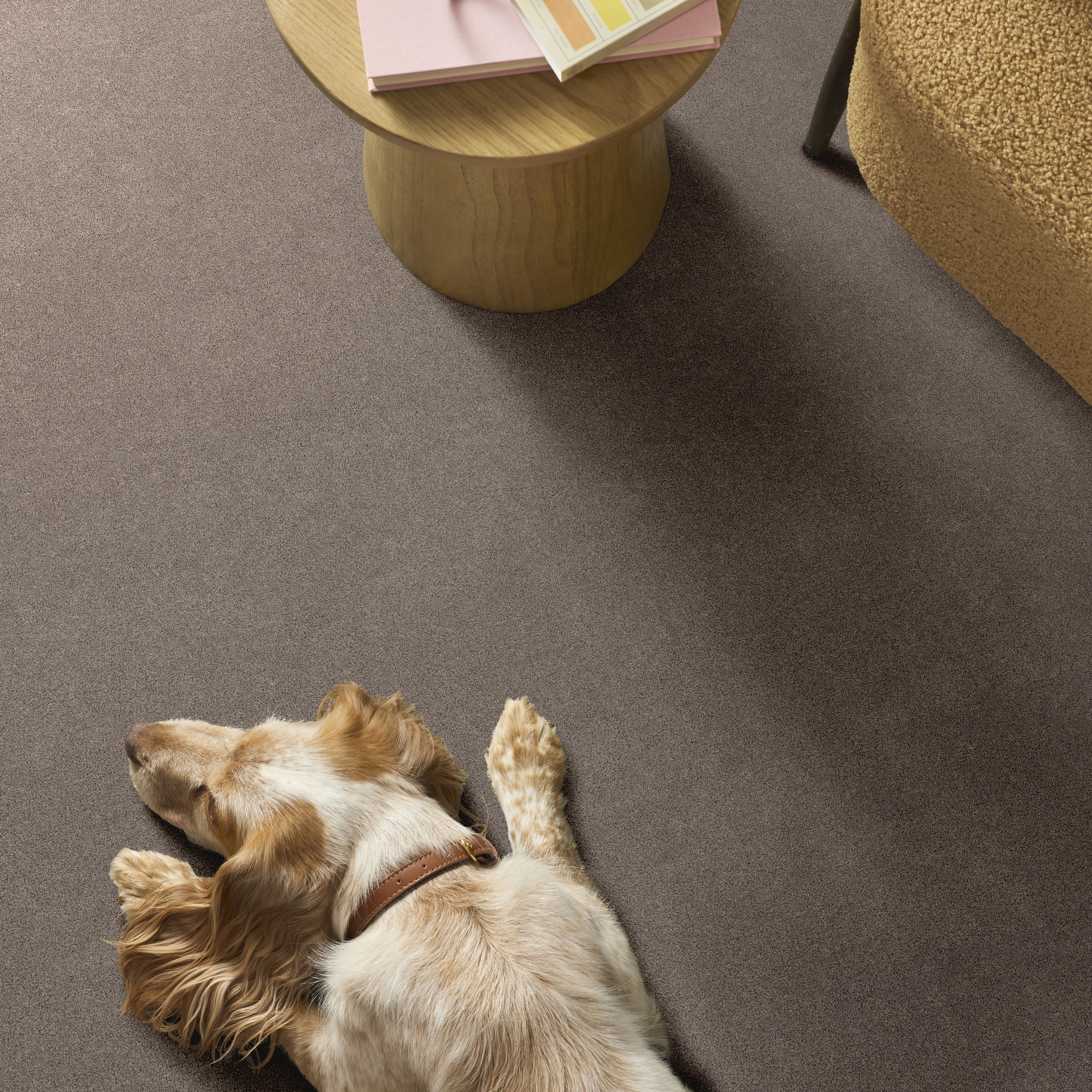 BLENDED TOUCH I MOCHA ROOM