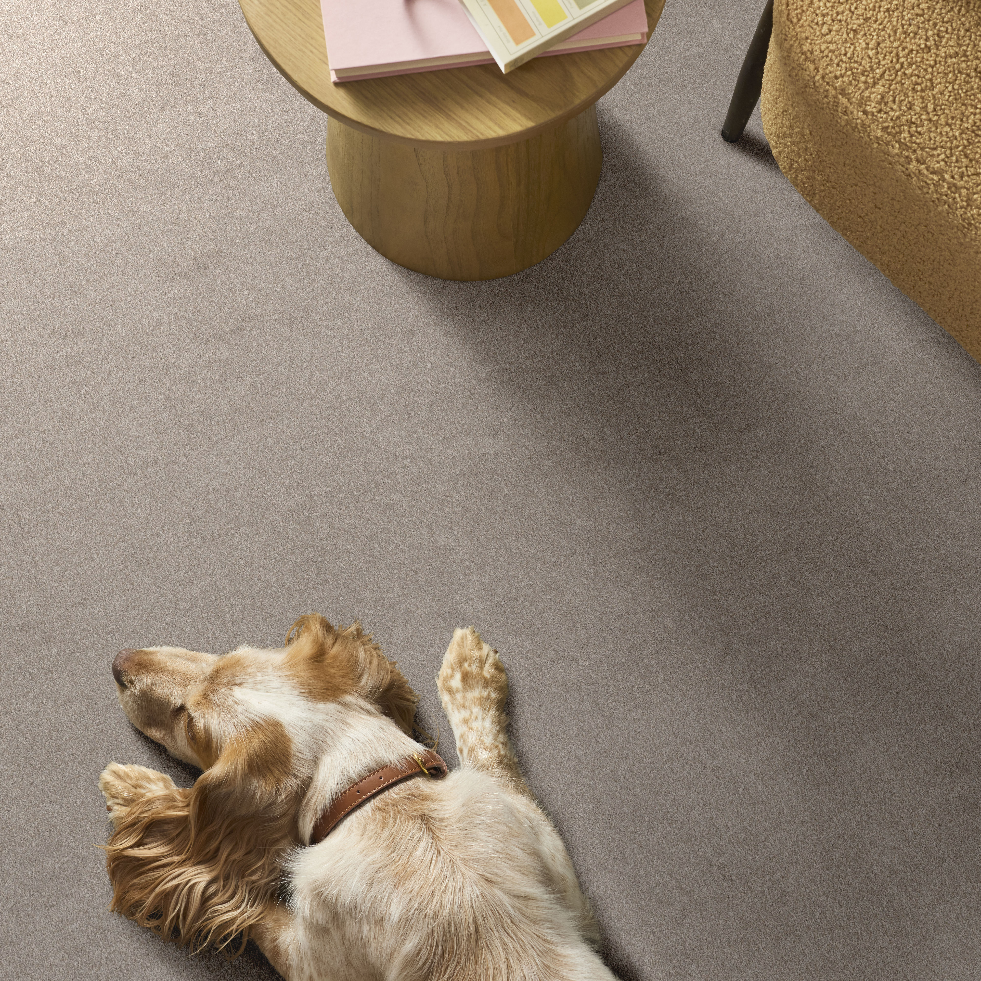 BLENDED TOUCH II LUNA PEARL ROOM