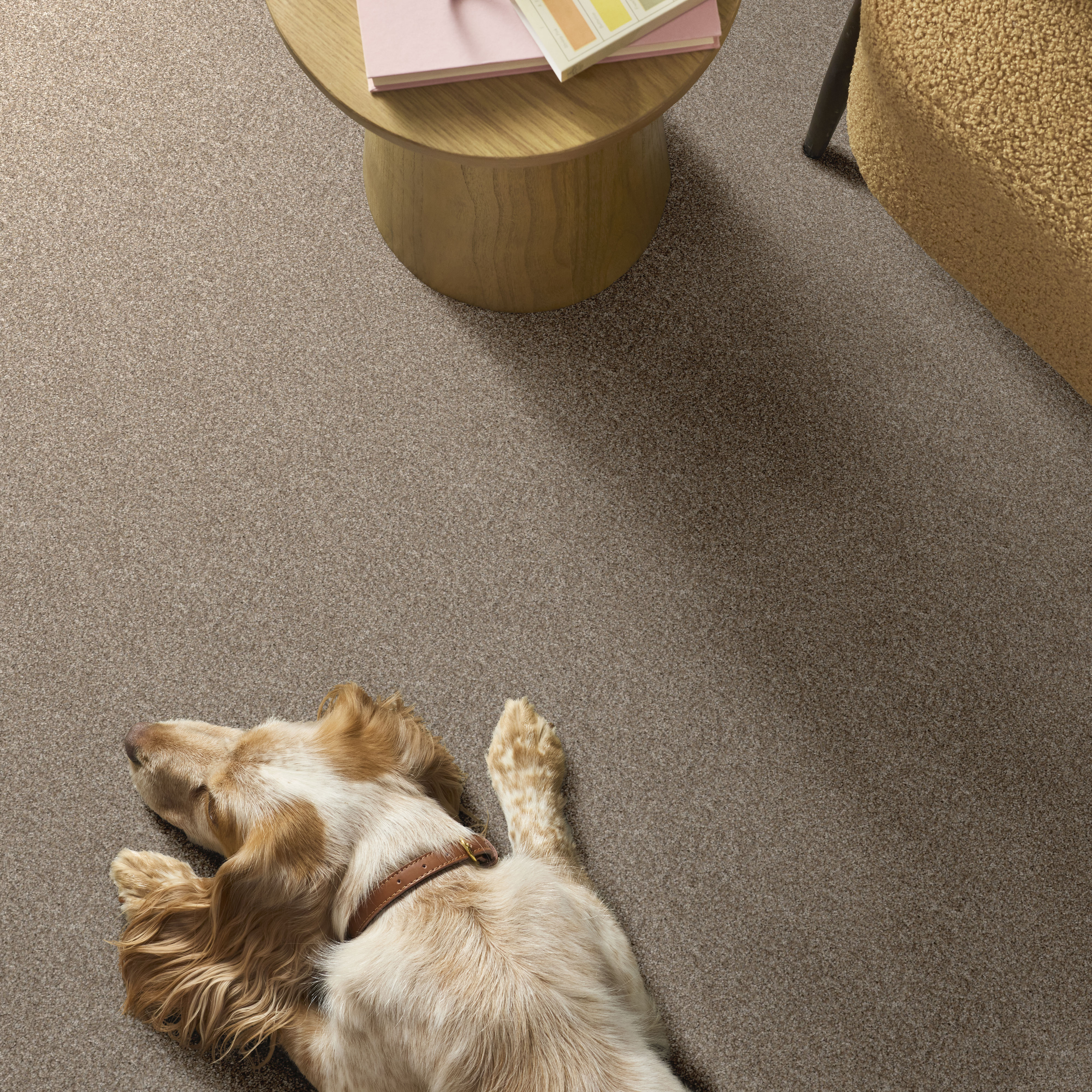 REFINED BEAUTY SOFT SAND ROOM