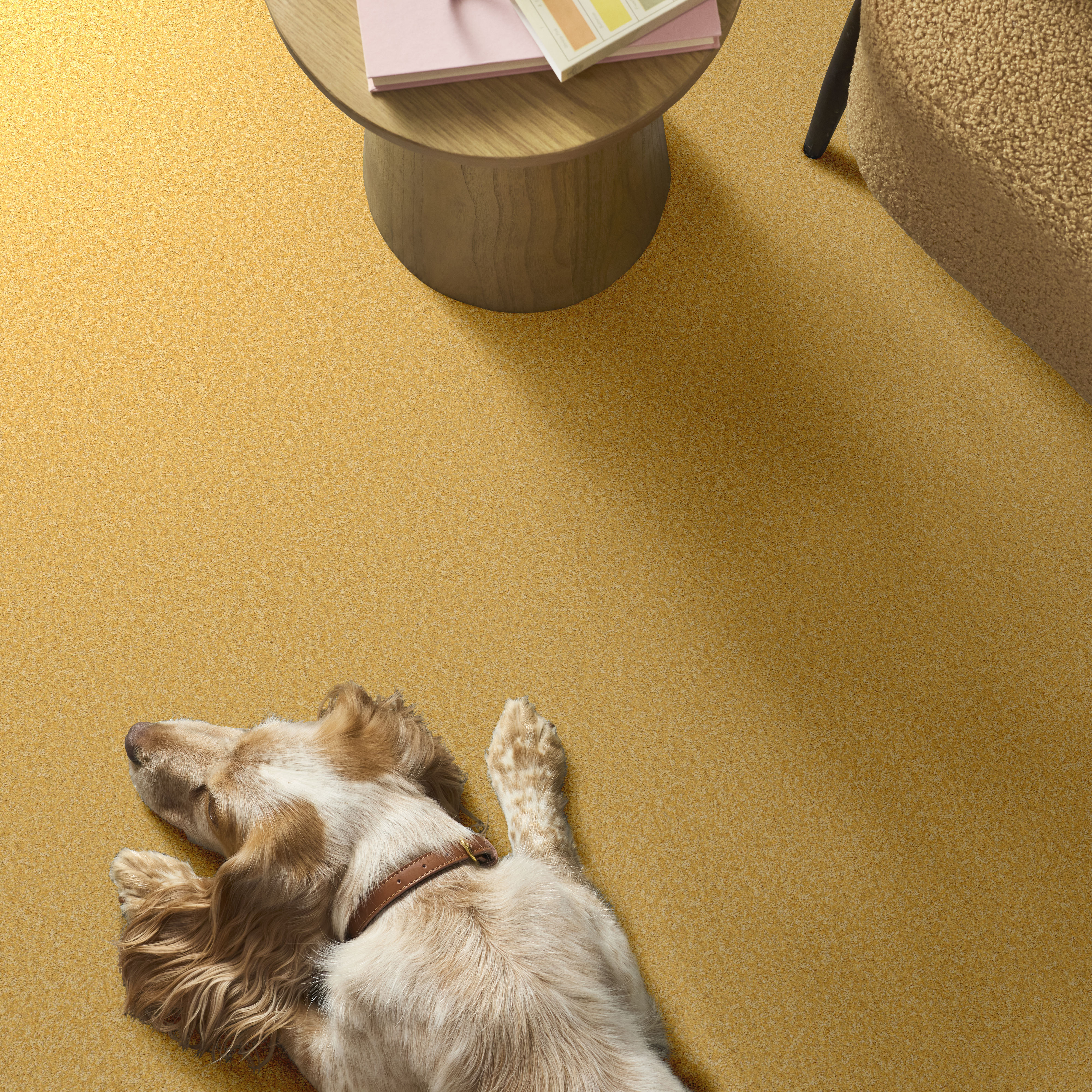 THE BRIGHT SIDE SUNNY SIDE UP ROOM