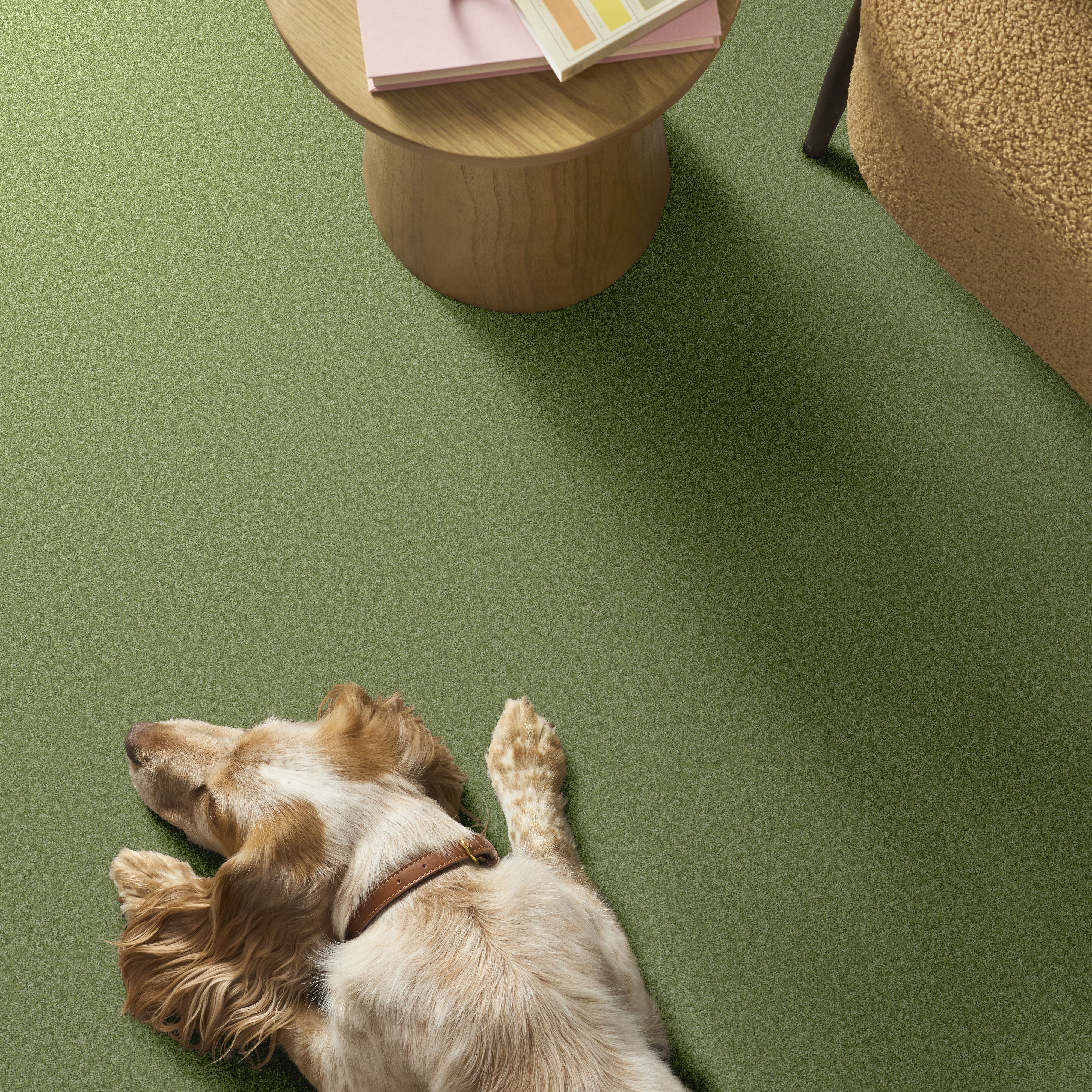 THE BRIGHT SIDE FOUR LEAF CLOVER ROOM