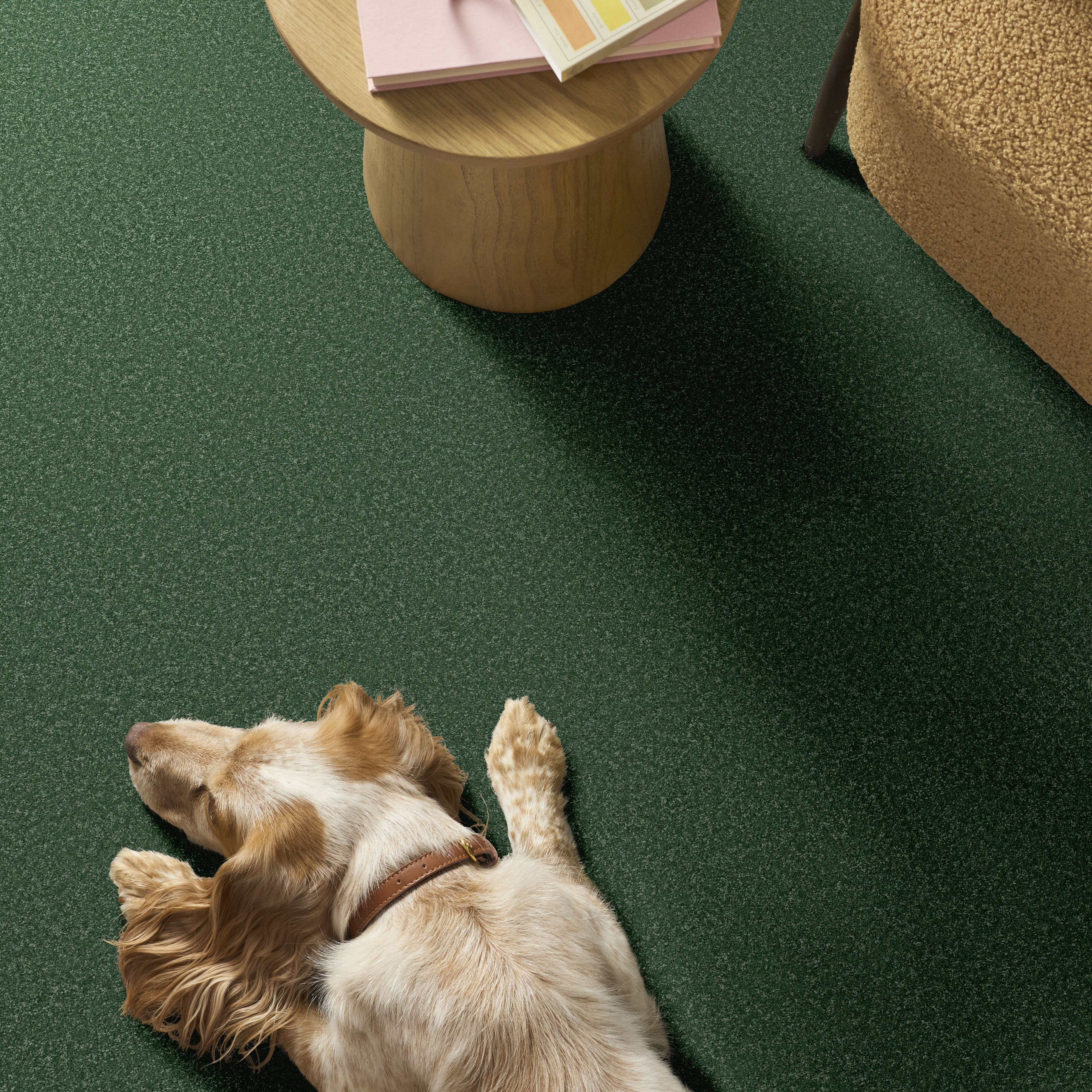THE BRIGHT SIDE FUZZY FEELING ROOM