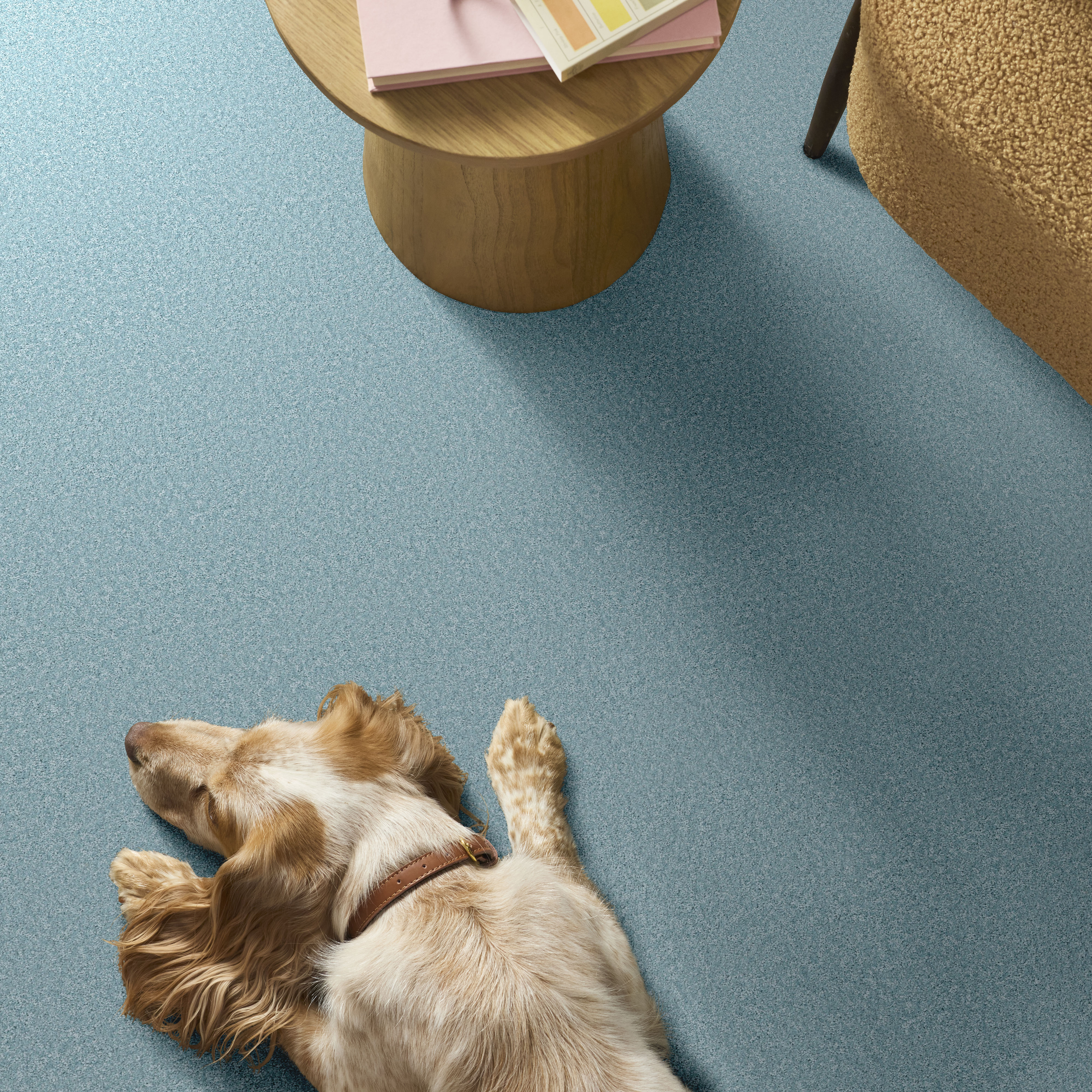 THE BRIGHT SIDE SILVER LINING ROOM