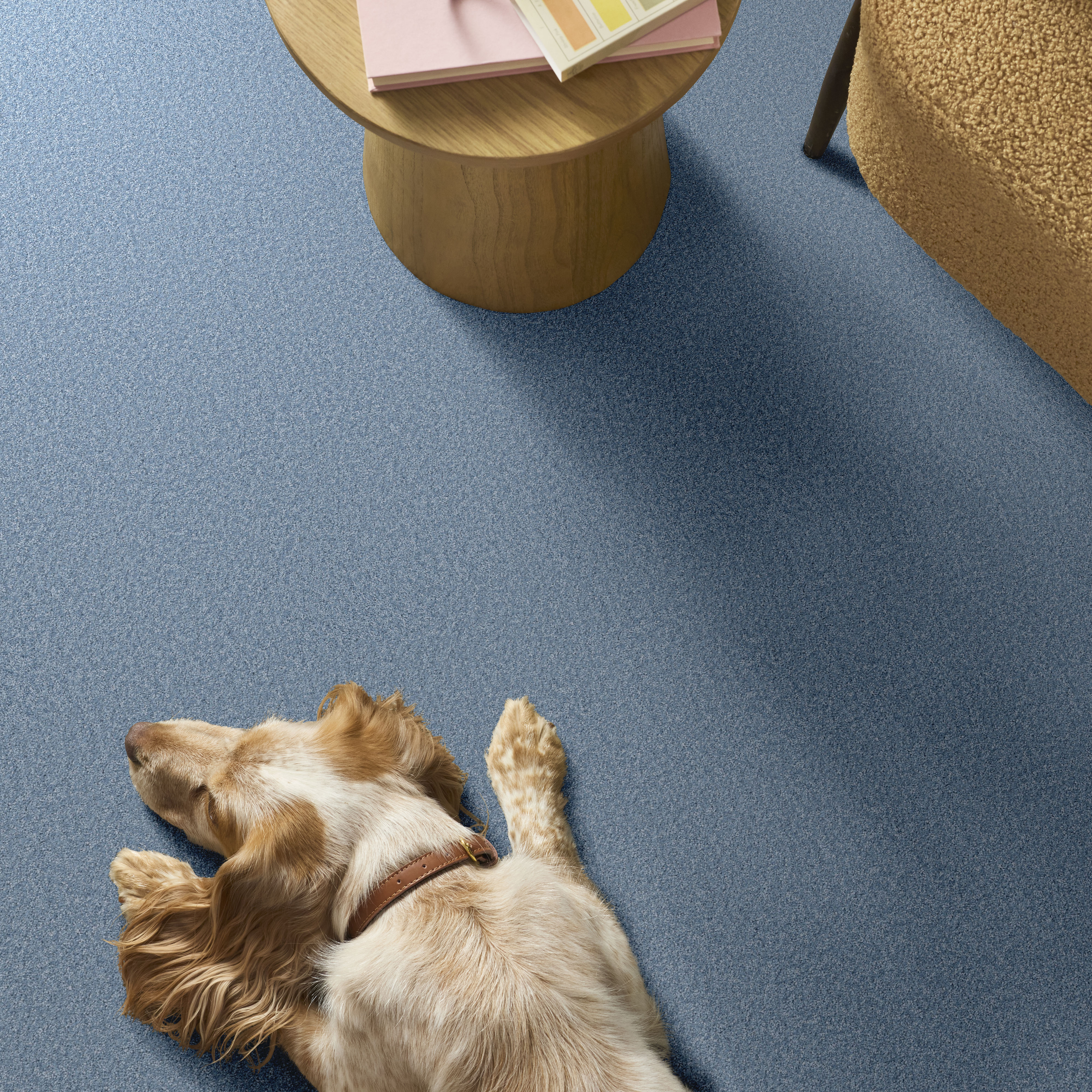 THE BRIGHT SIDE CLOUD NINE ROOM