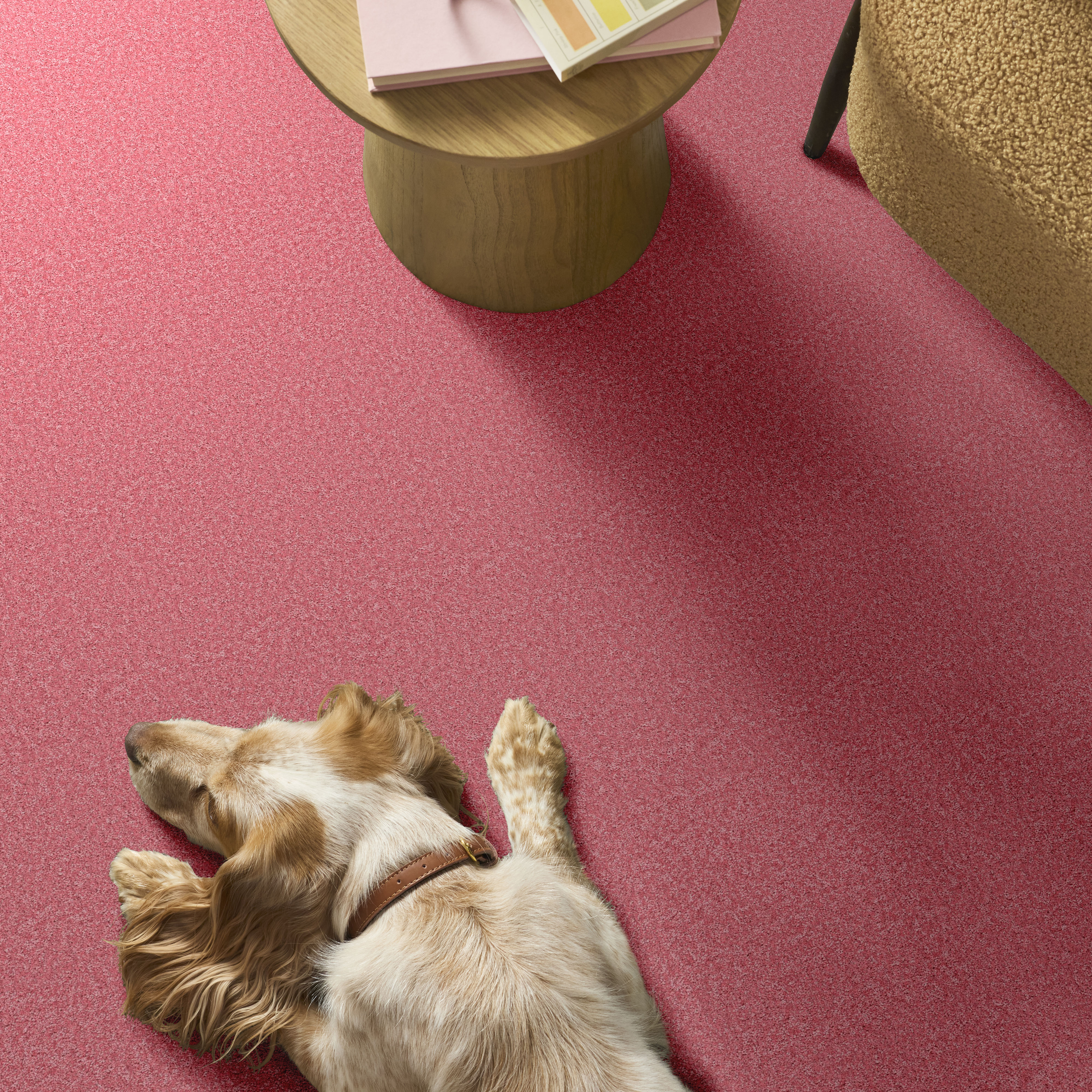 THE BRIGHT SIDE PIECE OF CAKE ROOM