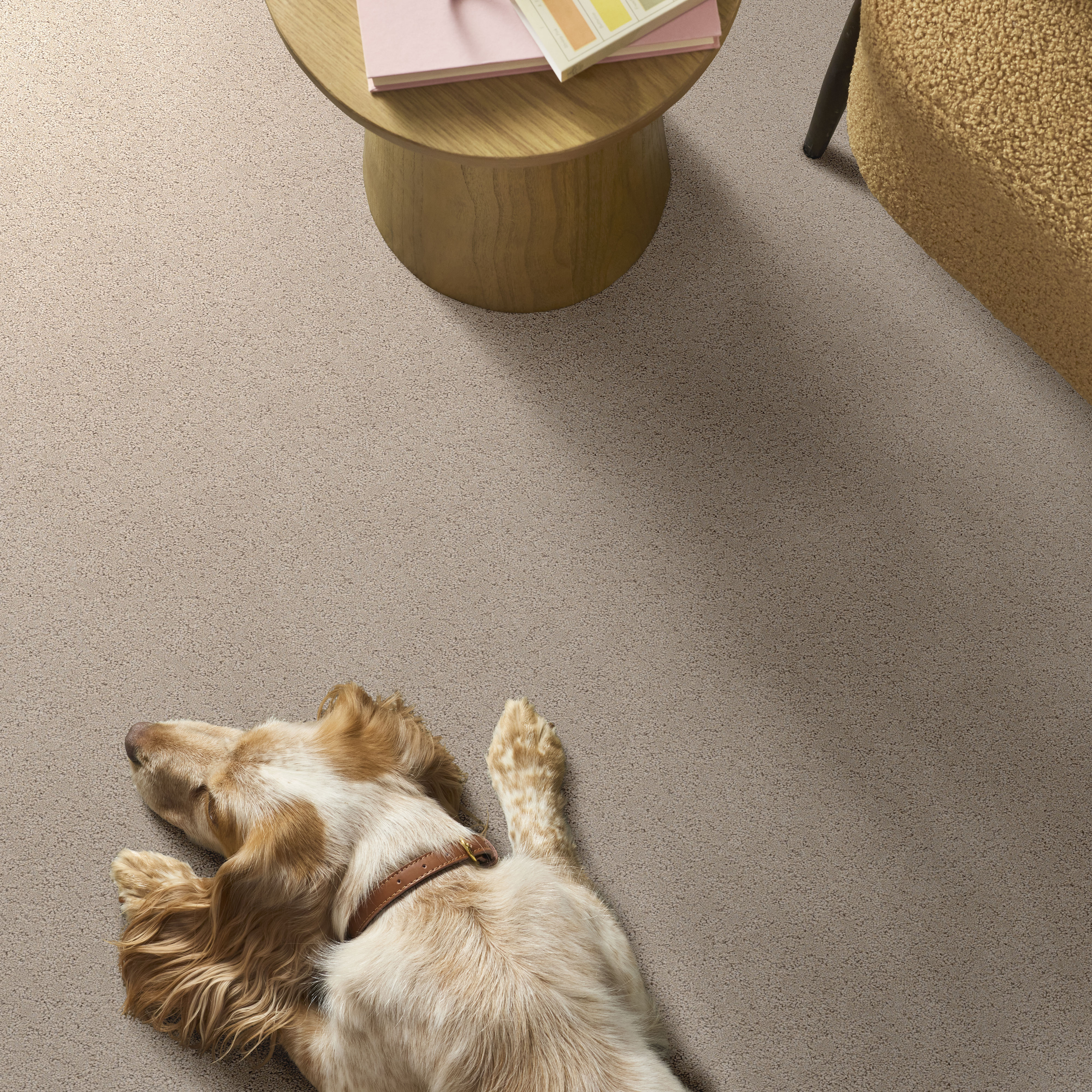 SECRET ADVENTURE DUNE VIEW ROOM