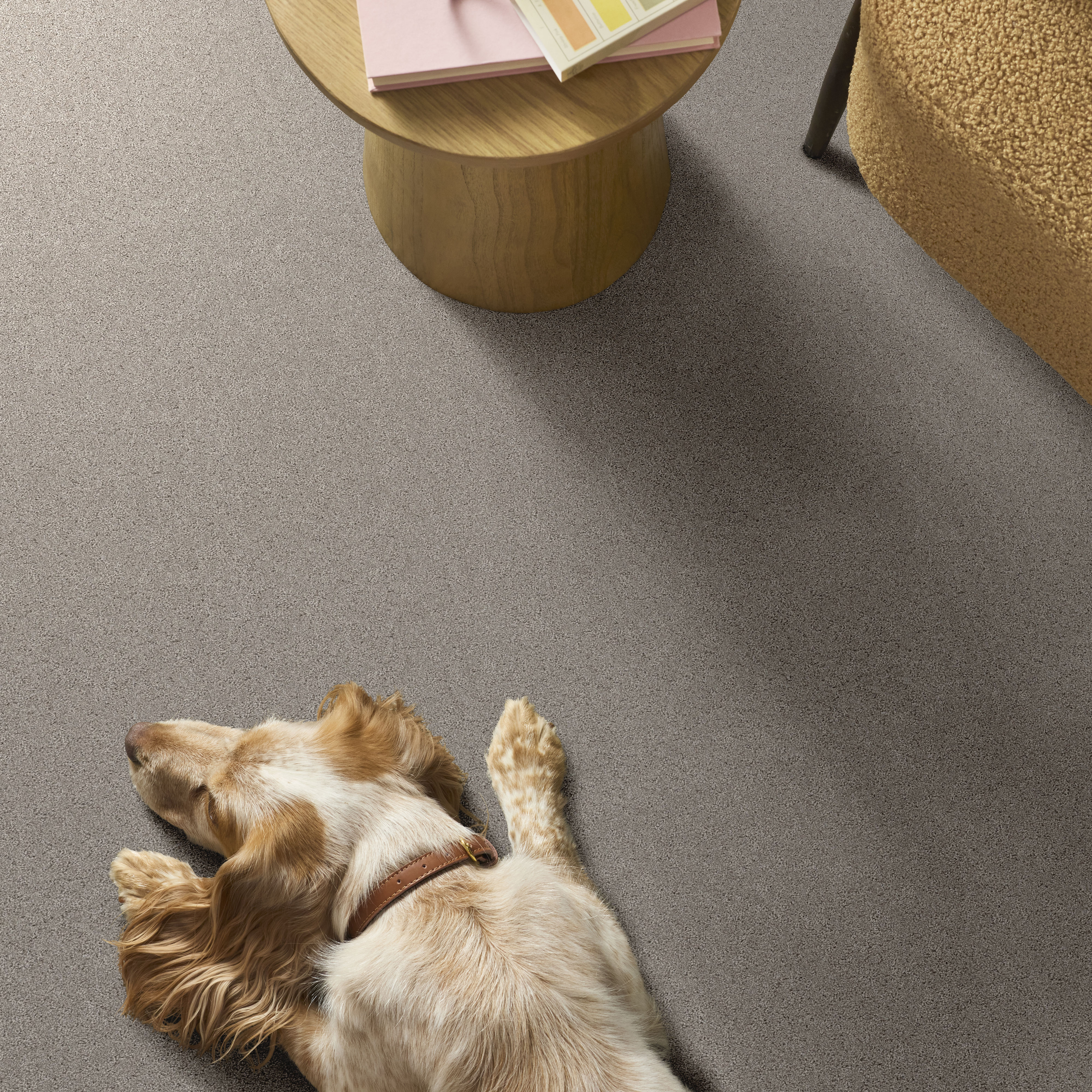 SECRET ADVENTURE MARBLE ROOM