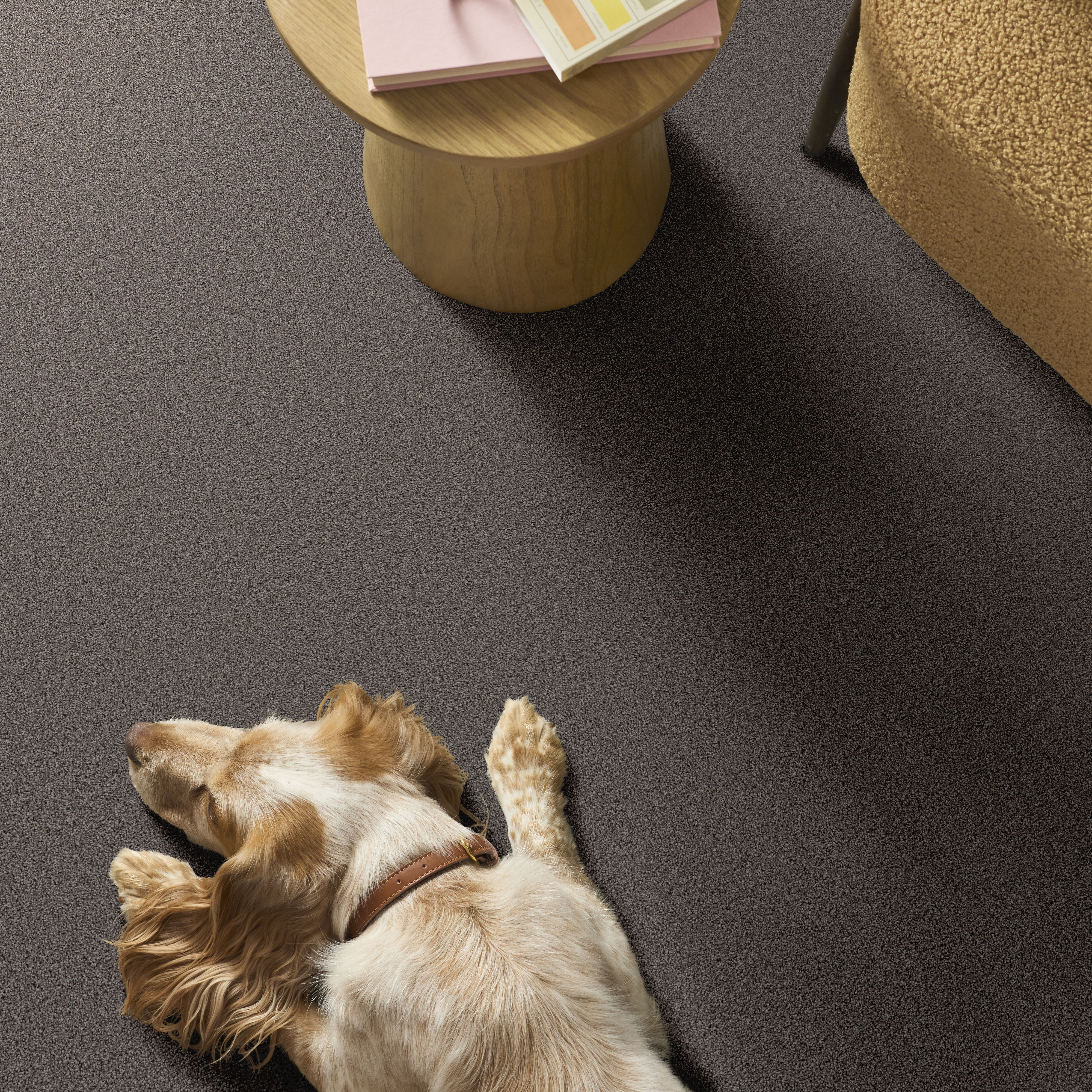 GRAND INFLUENCE I KNIGHTHOOD ROOM