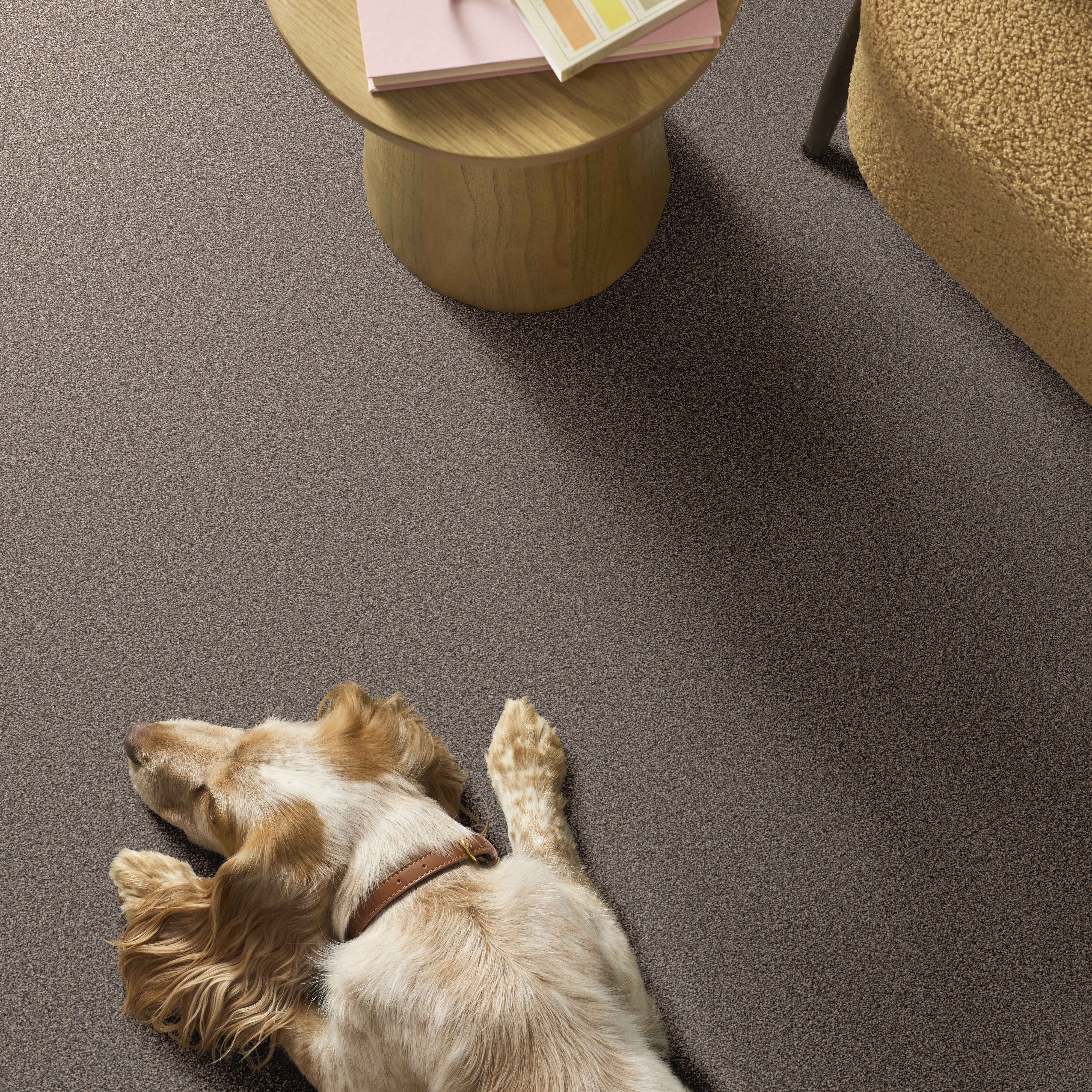 GRAND INFLUENCE II MUSHROOM ROOM