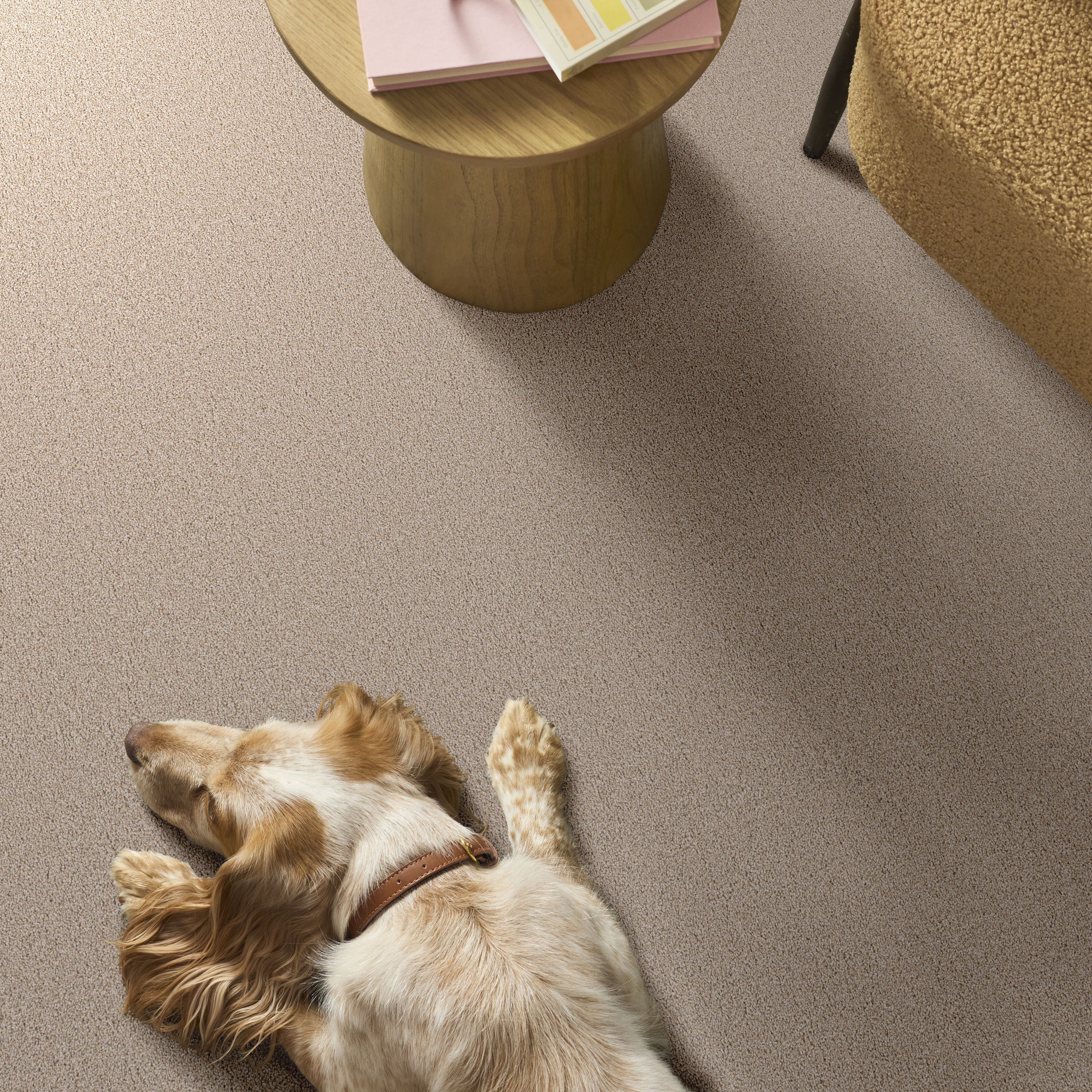 GRAND INFLUENCE II SATIN SHIMMER ROOM