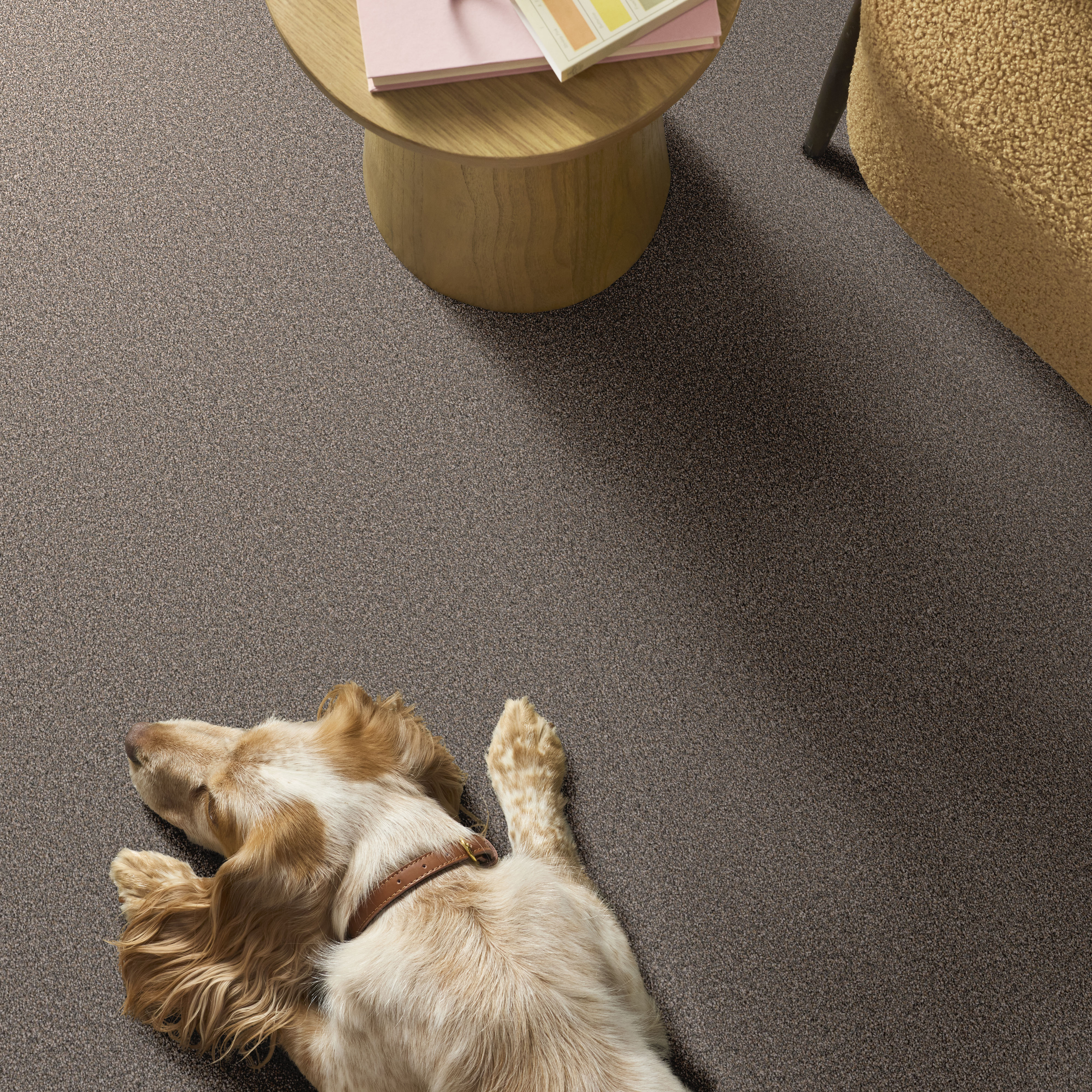 GRAND INFLUENCE II CASTLE ROCK ROOM