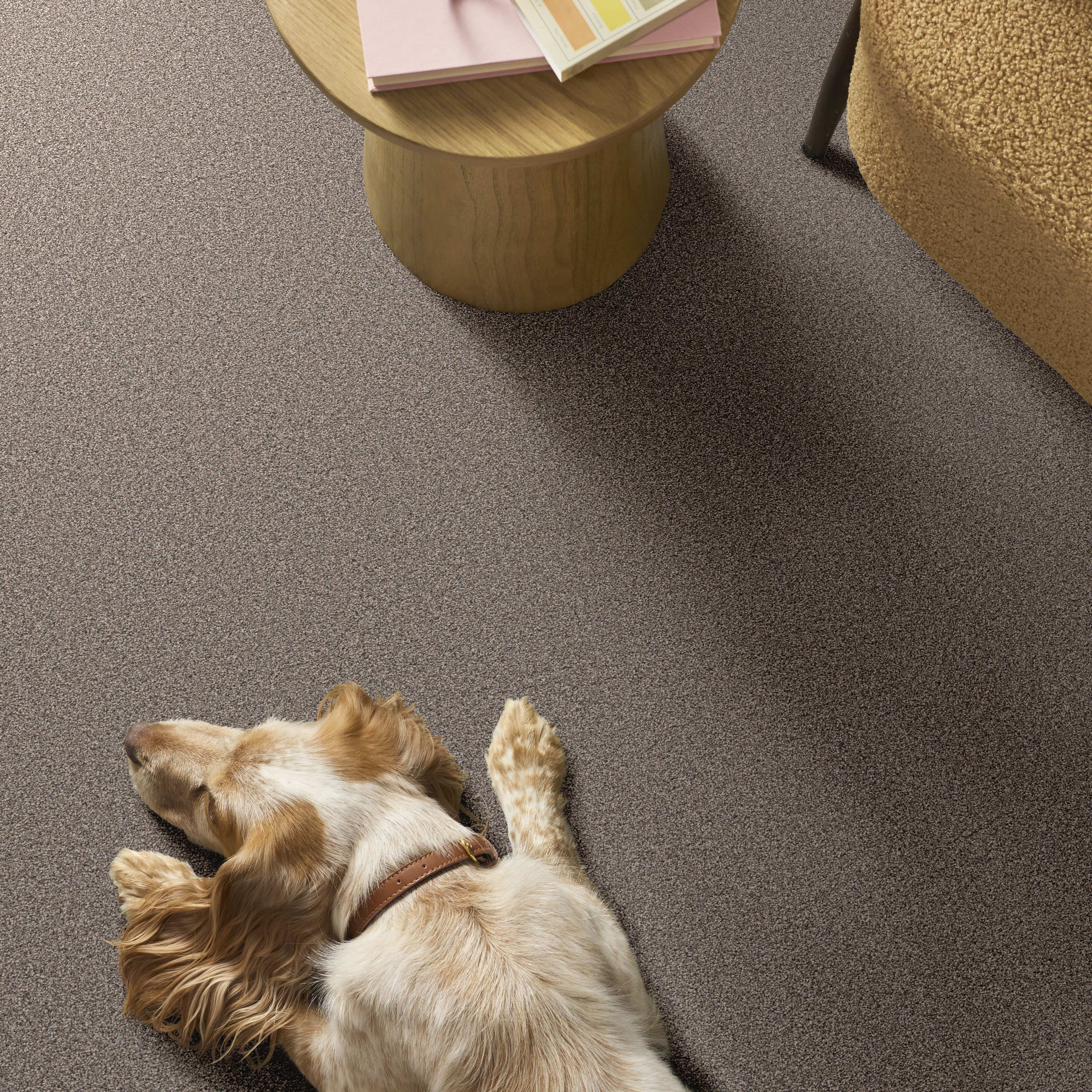 GRAND INFLUENCE III STEPPING STONE ROOM